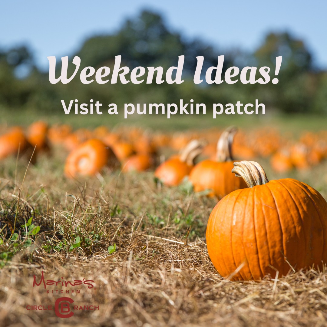 Circle B Ranch - 🎃 Weekend Idea: Visit a Pumpkin Patch... | Facebook