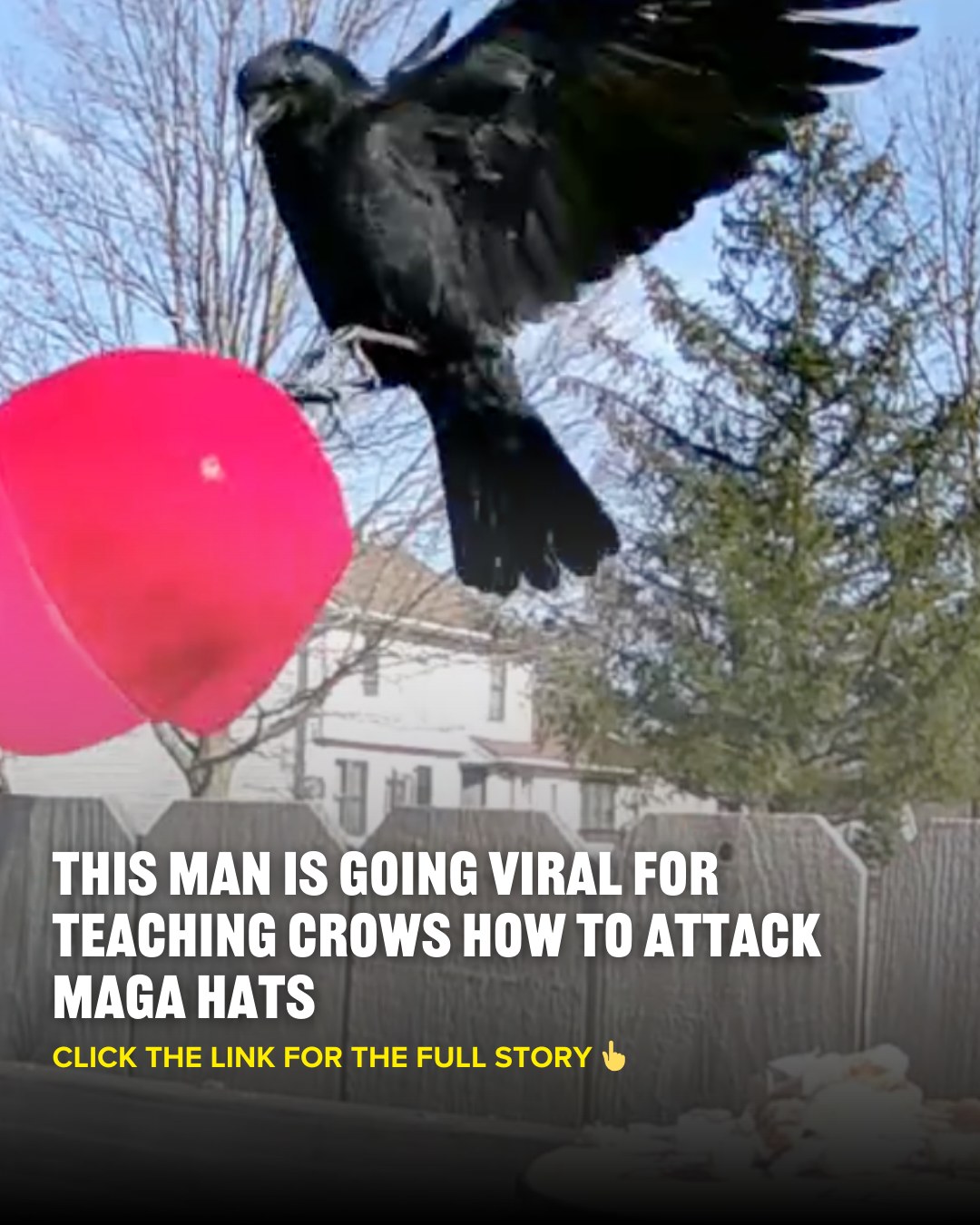 BuzzFeed - Not all heroes wear capes. https://www.buzzfeed.com ...