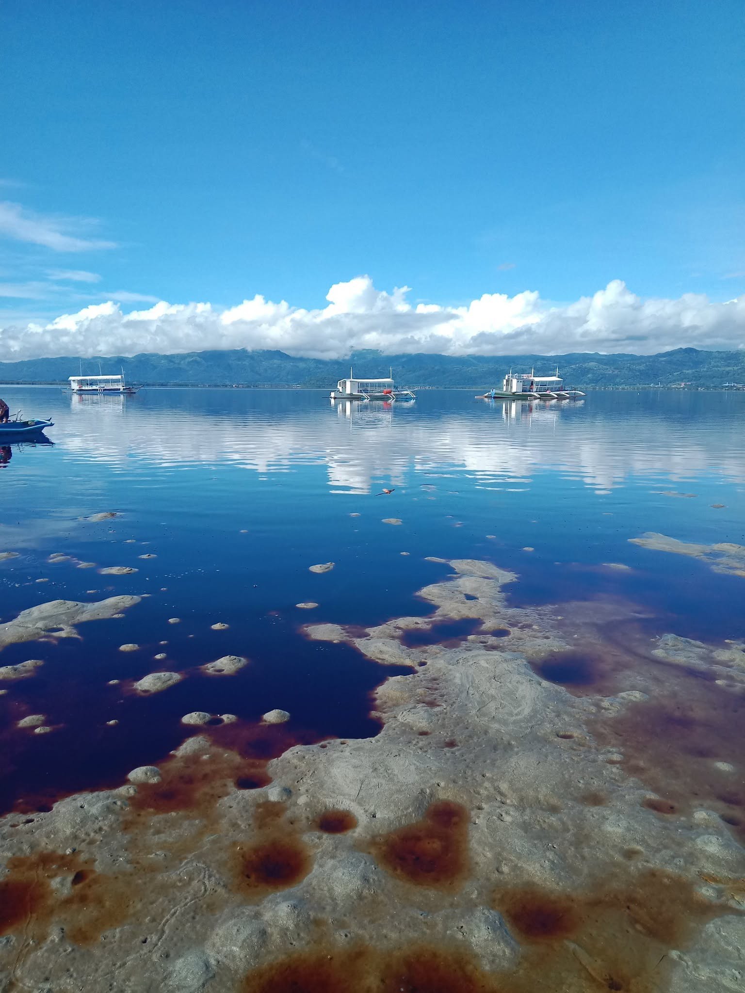 CDN - ETHANOL PLANT SPILLAGE CAUSES FISHKILL IN NEGROS ORIENTAL LOOK ...