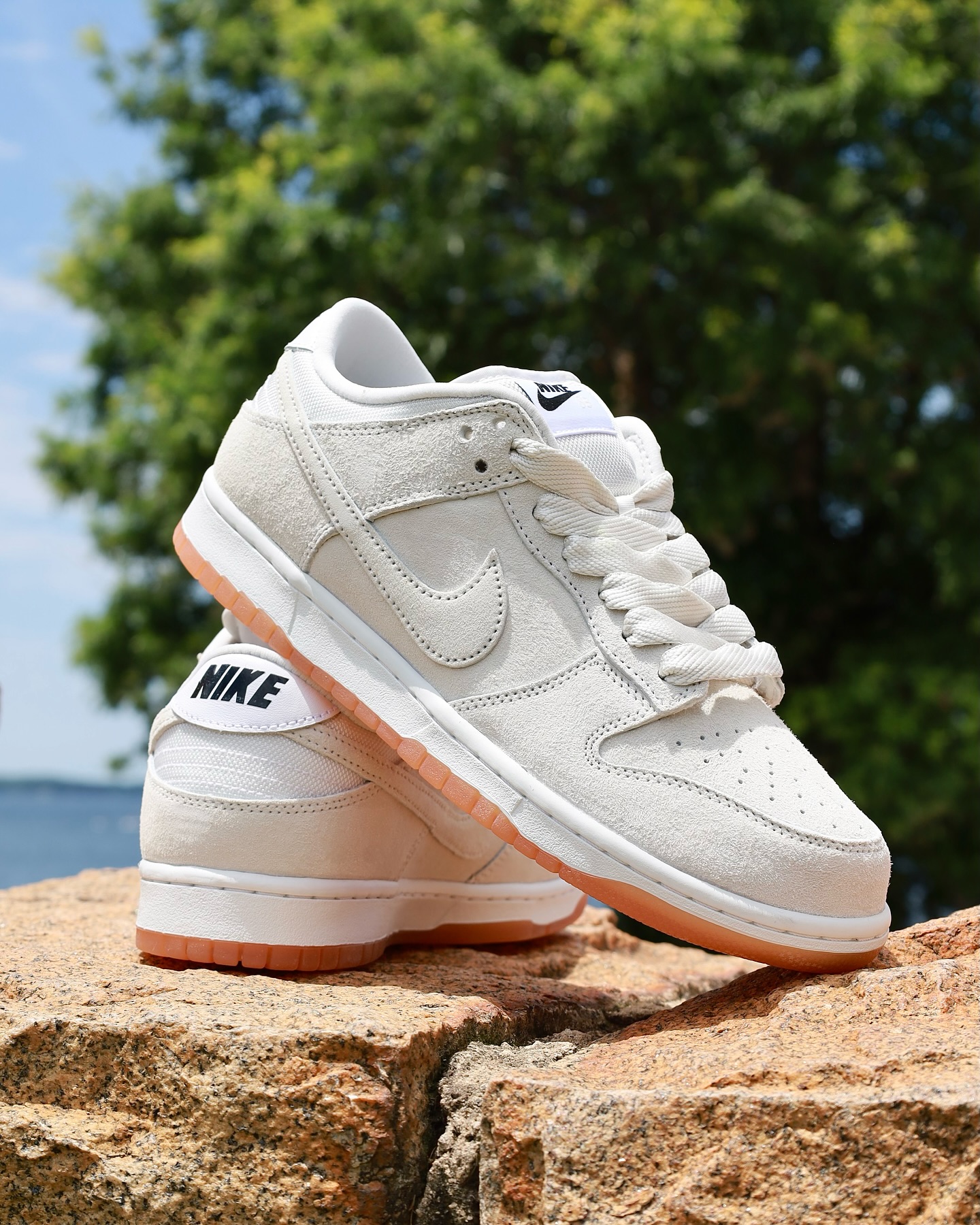 The @nikesb Pale Ivory Dunk Low Pro B is set to release May 29th 
