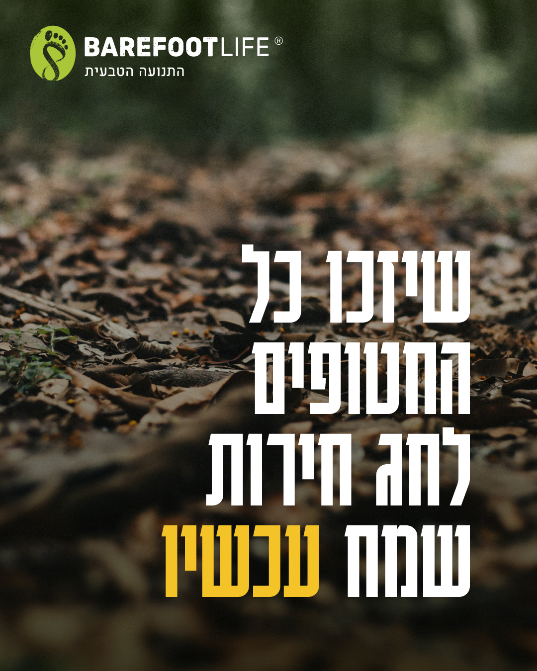 Barefoot Life - Vivobarefoot Israel - HAPPY NEW YEAR FROM VIVO TLV ...