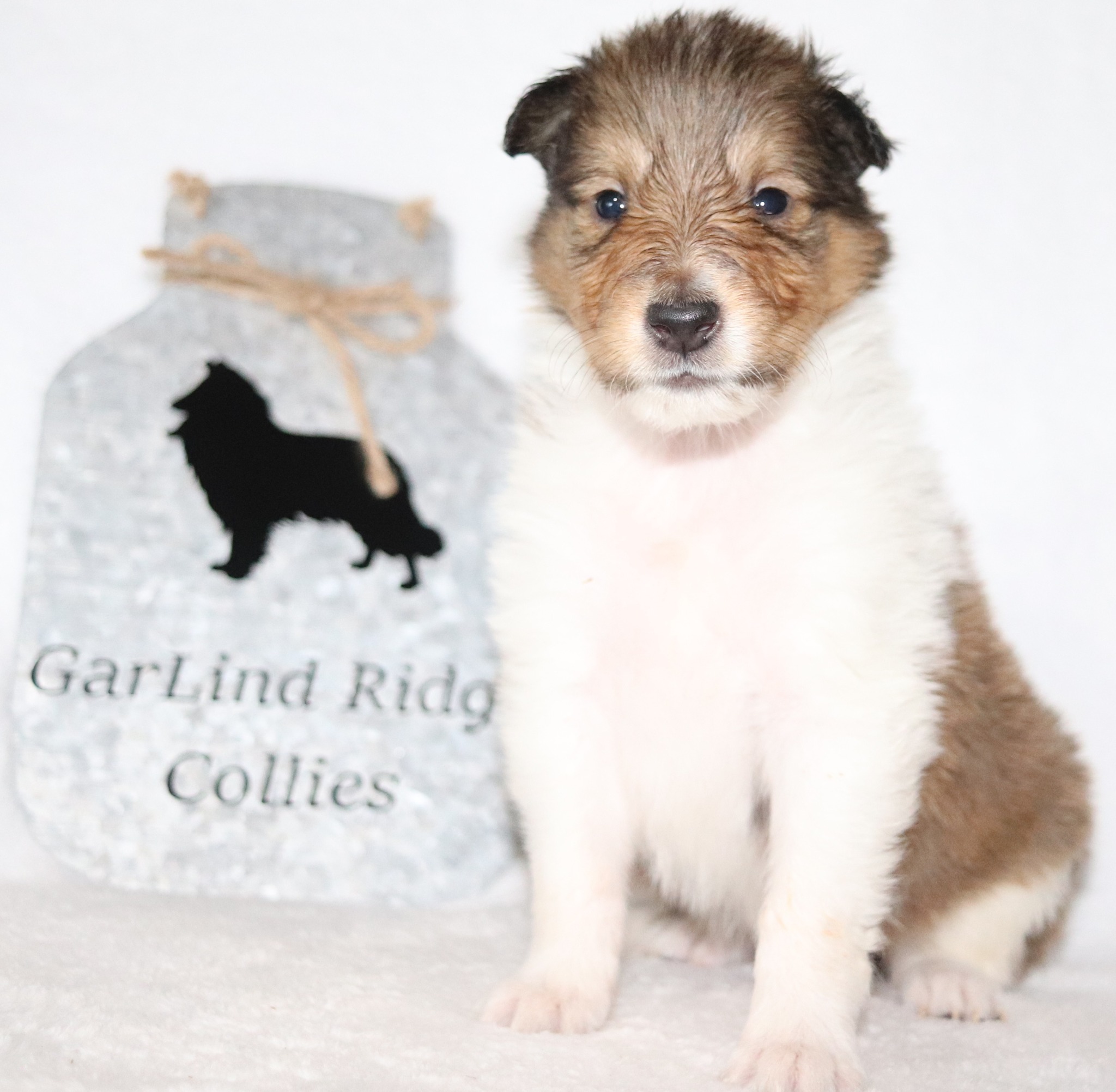 Garlind - Packer now available | Facebook
