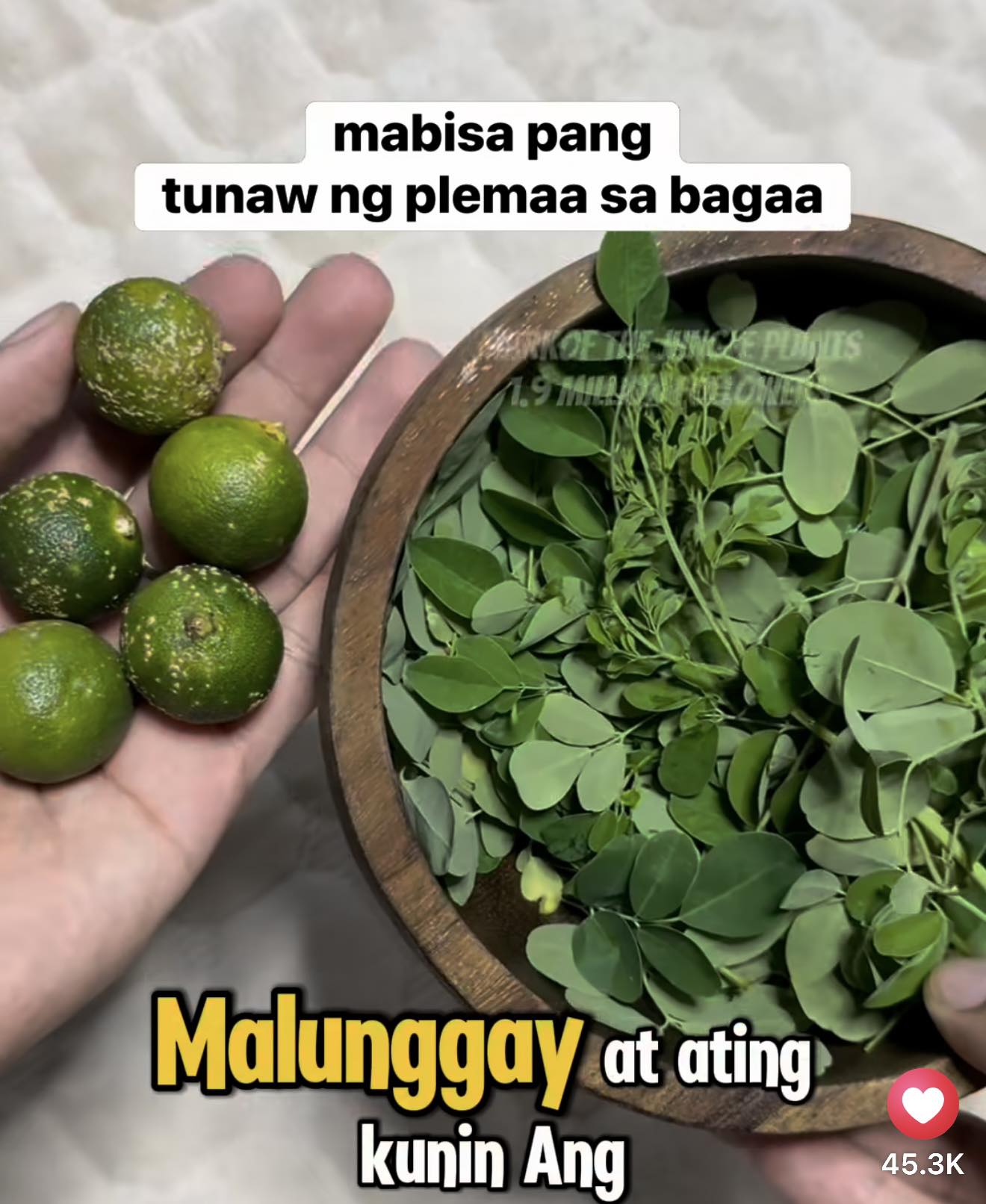 Mark - Malunggay at kalamansi para sa mabisang pantunaw ng plema sa ...