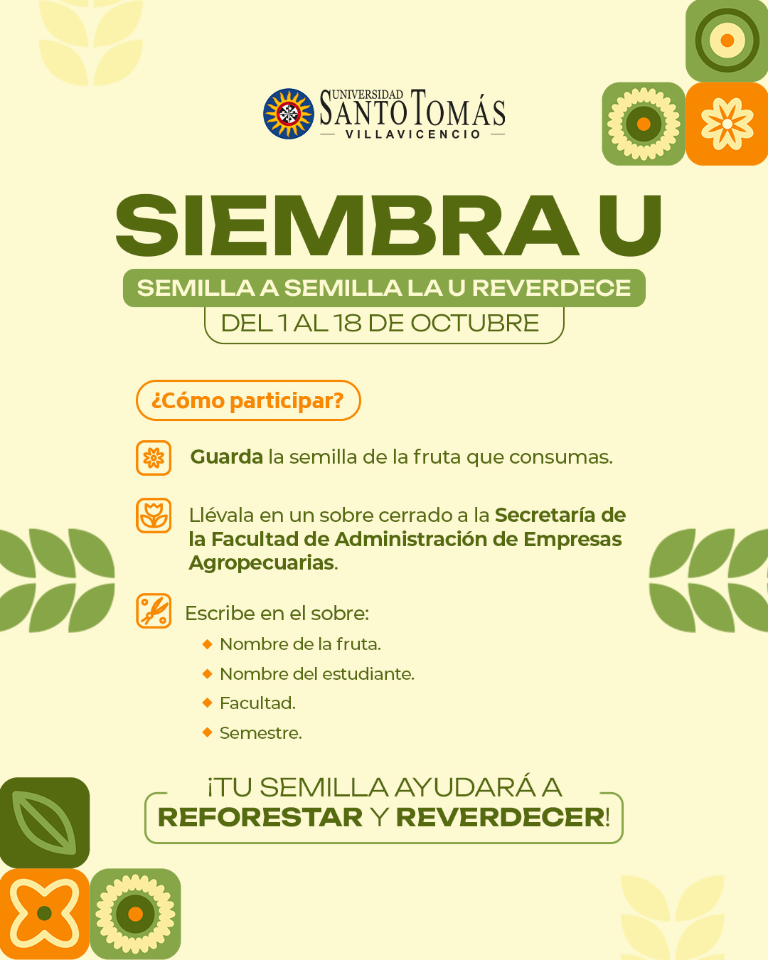 Universidad - 🌳Tomasino, haz parte del cambio y brinda tu semilla para ...