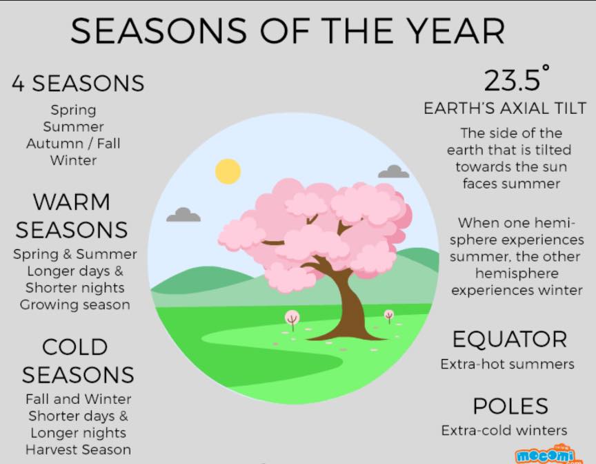 Inglés y Más - 📕🖋️The 4 Basics🖊️📒 The 4 basics: seasons... | Facebook