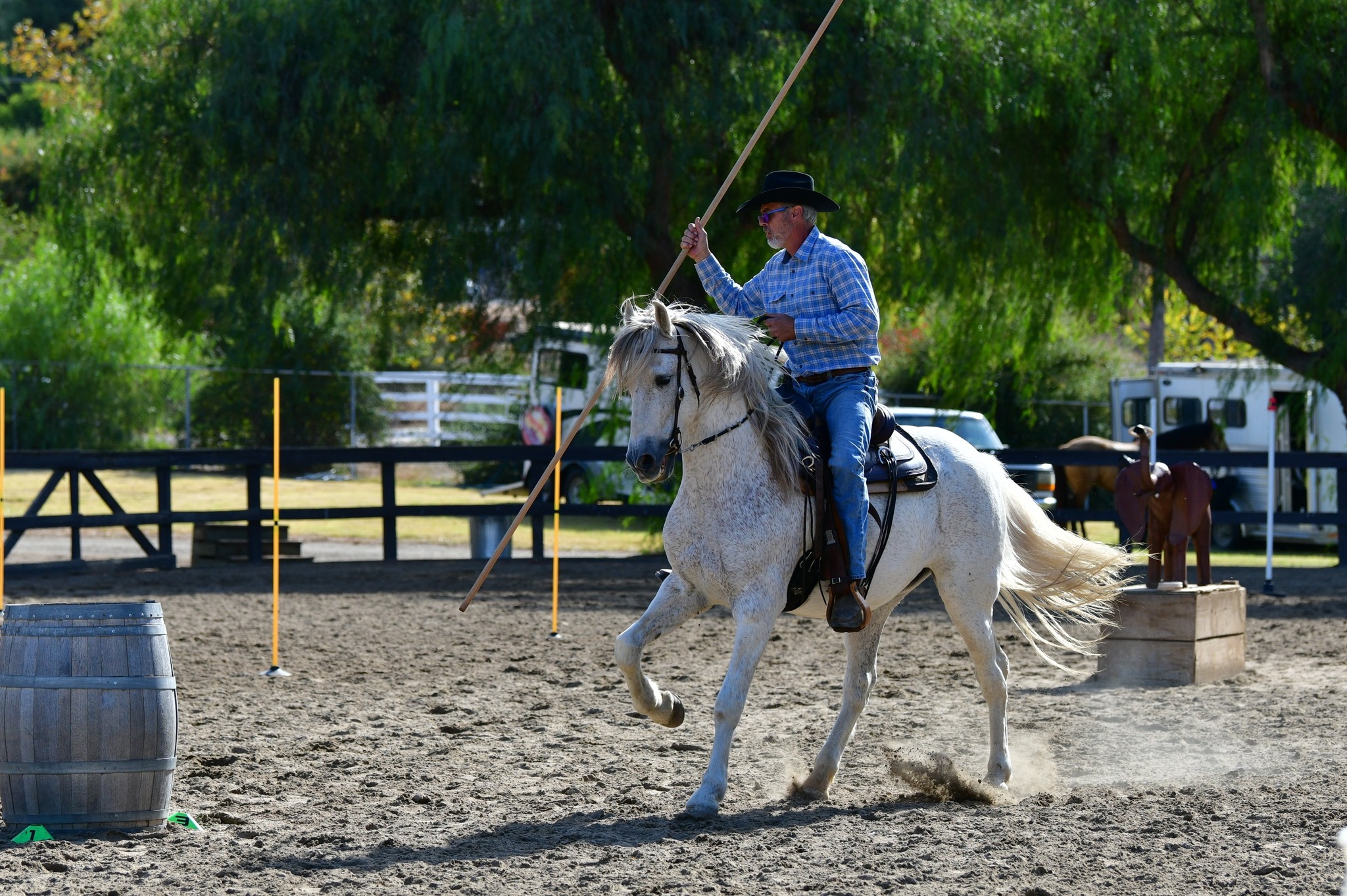 Ready to Show! Working Equitation Clinic