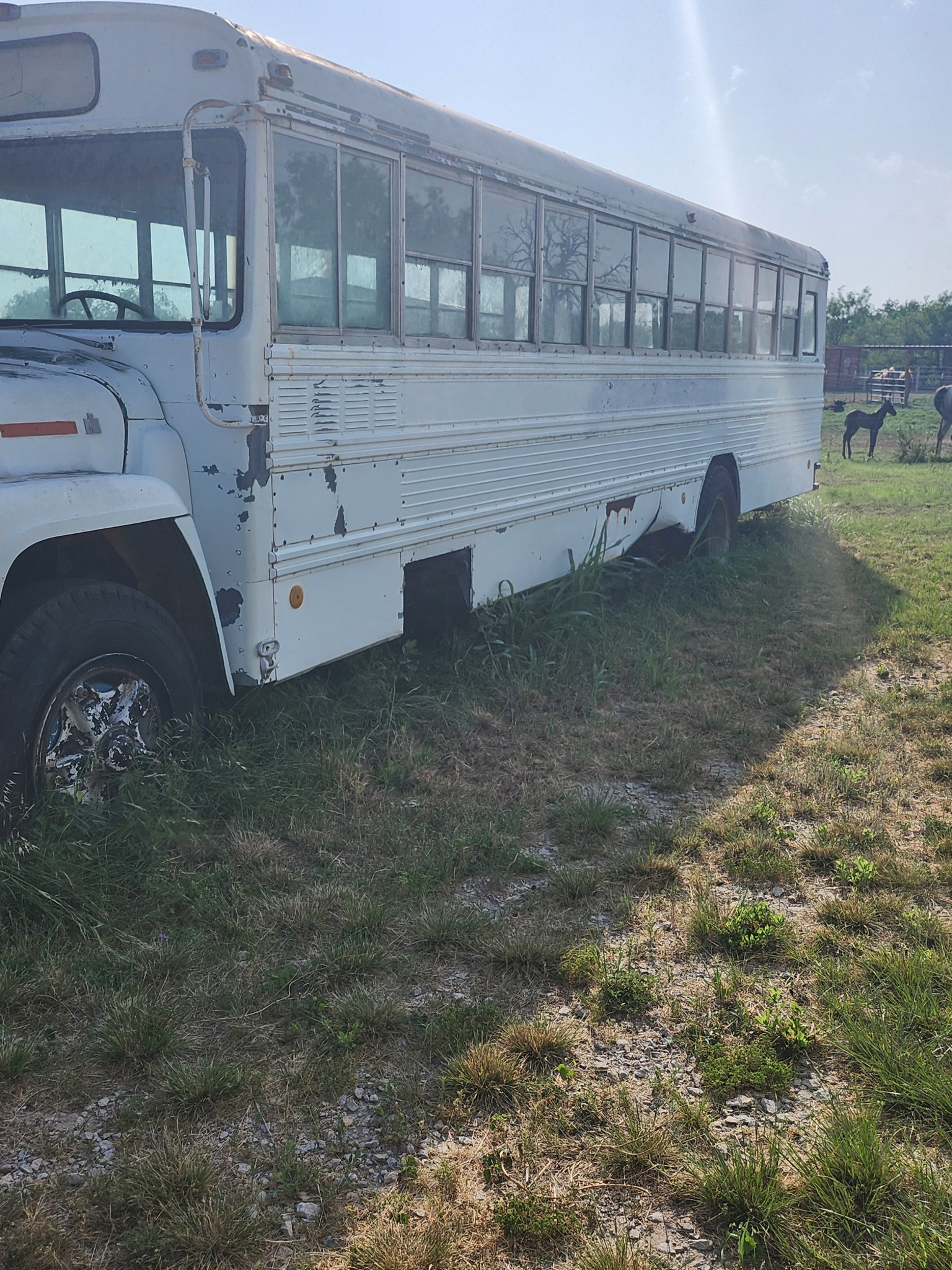Loadstar 1700 Diesel Engine and/or Entire Bus - Buses - Early, Texas ...