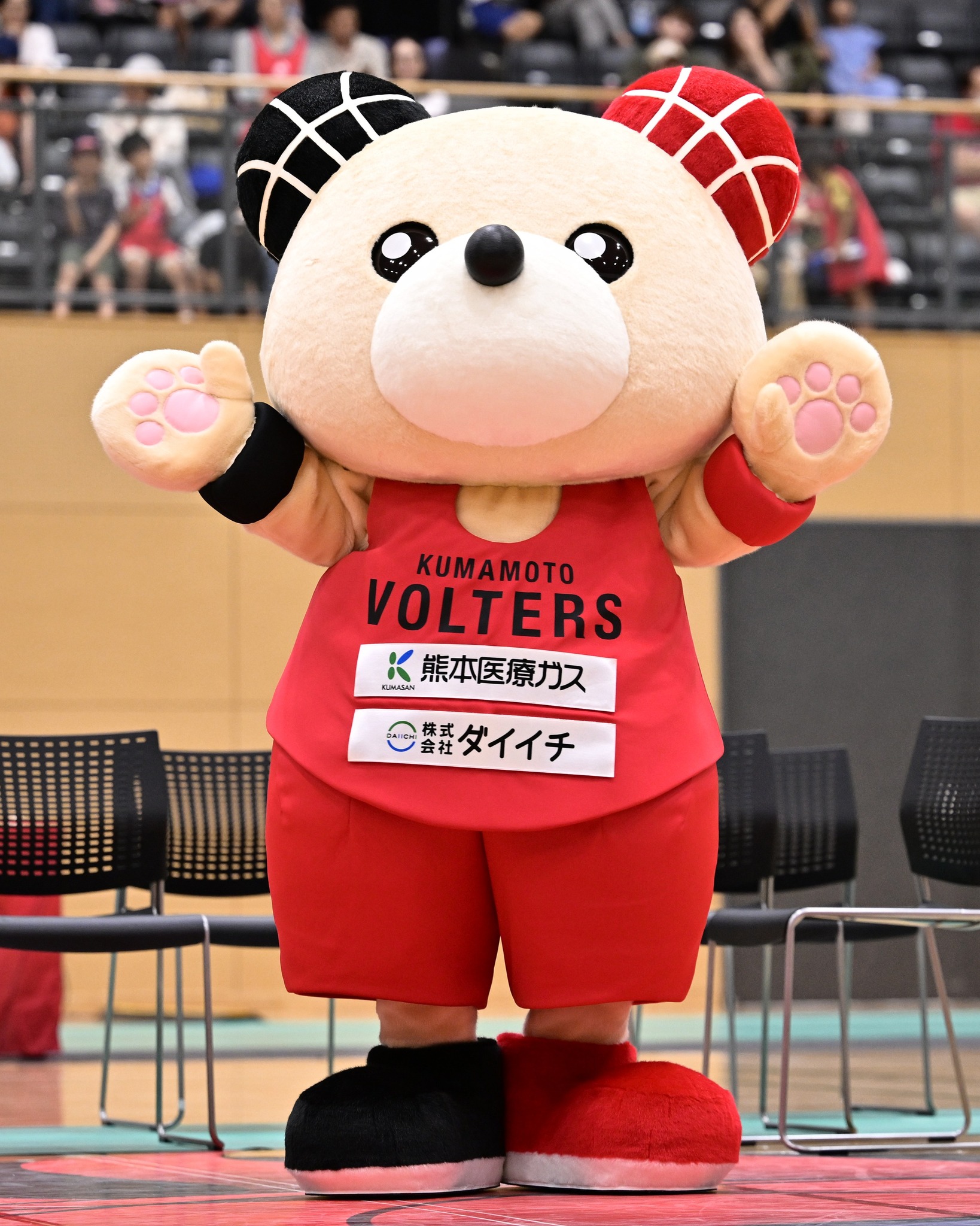 熊本ヴォルターズ：VOLTERS added a new photo. - 熊本ヴォルターズ