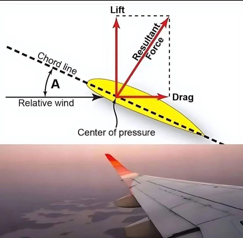 Aviation-knowledge - Understanding the Centre of Pressure in ...