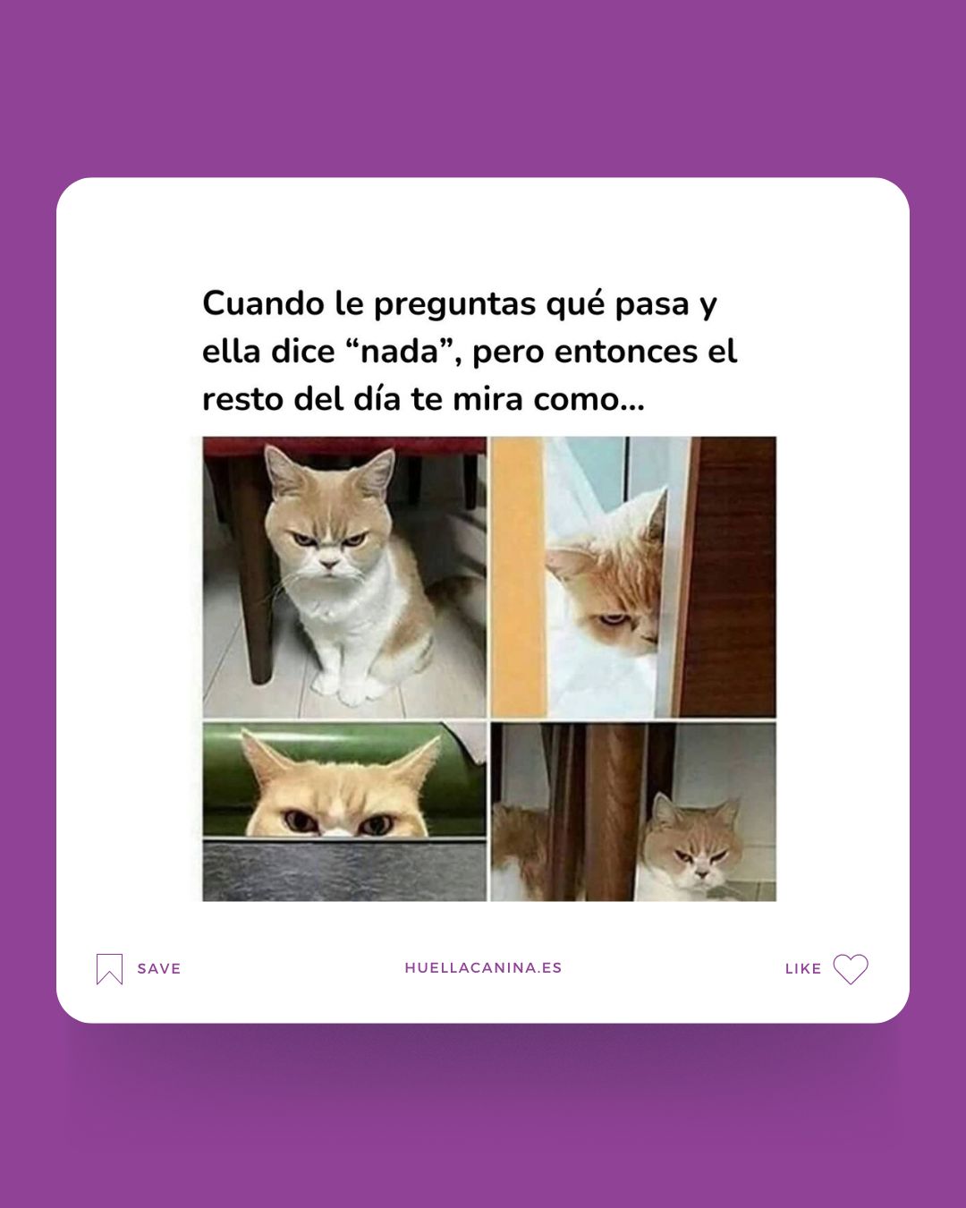 Huella - ¡Bienvenidos al Zapping de Memes! Hoy os traigo una ...