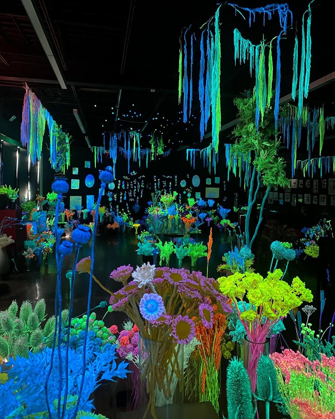 Discover the glowing world of @moonbeamconservatory in Tulsa