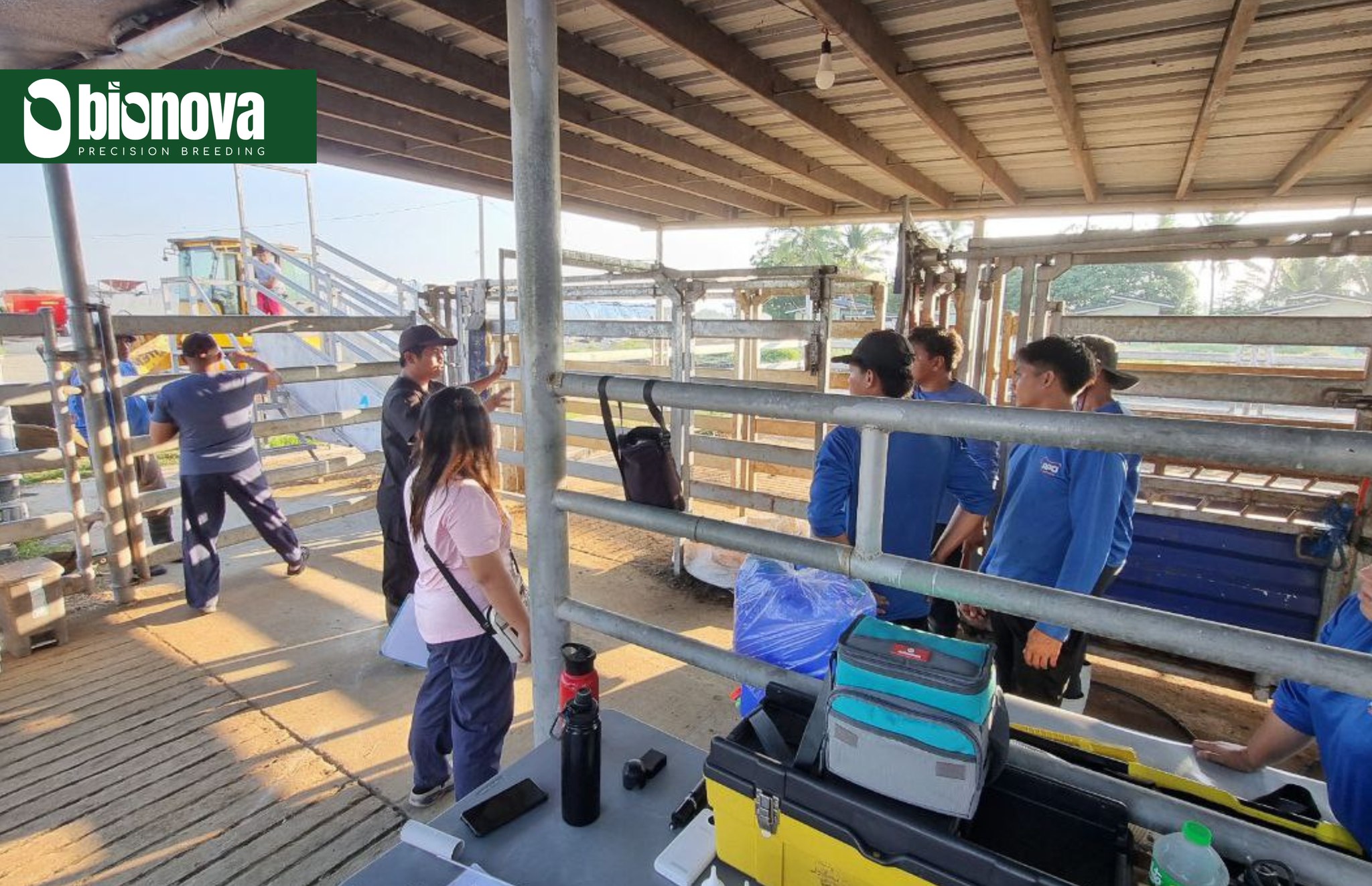 Balimbing Farm | Tanay