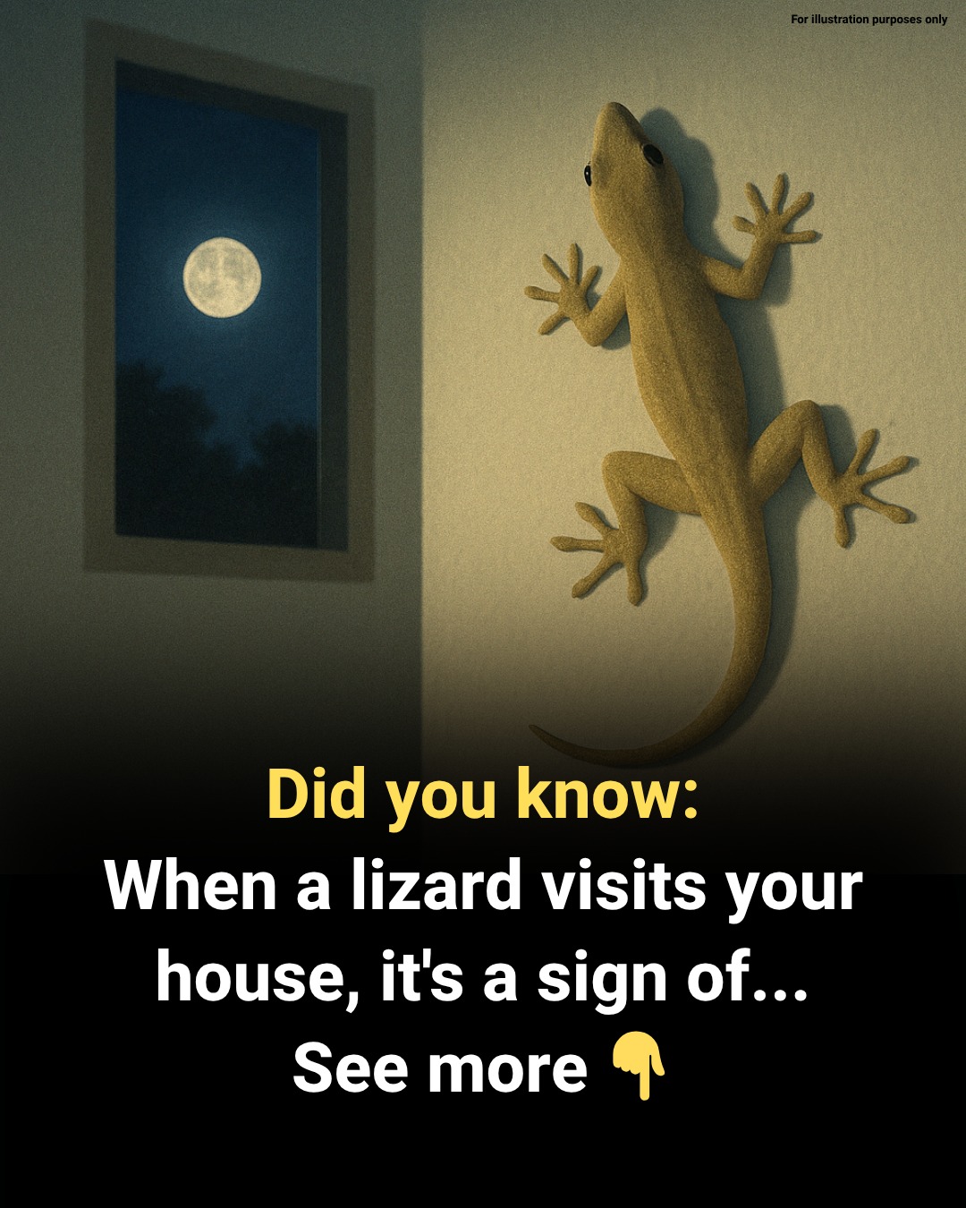Modern - Did you know: When a lizard visits your house, it's a sign of ...