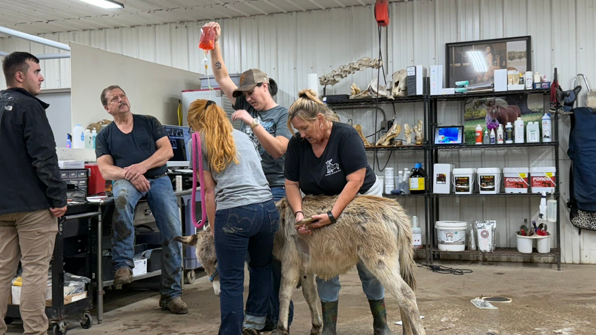 T&D Donkey Rescue Inc. added a... - T&D Donkey Rescue Inc.