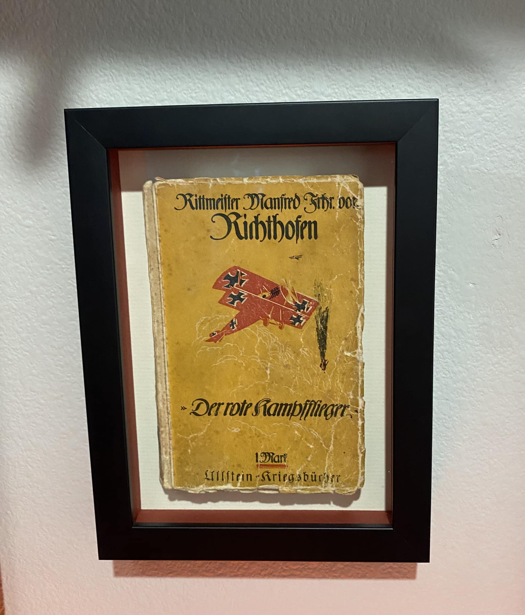 Manfred von Richthofen's 1917 book 'Der rote Kampfflieger'