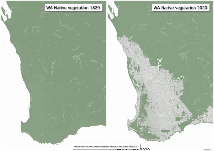Sustainable - In just under 200 years, WA's native vegetation cover has ...