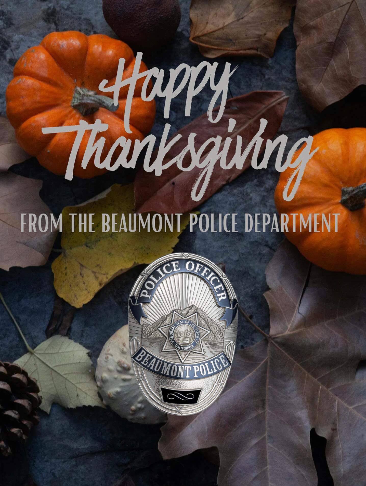 Beaumont Police Department - Beaumont, CA - Traffic Collision Reports ...