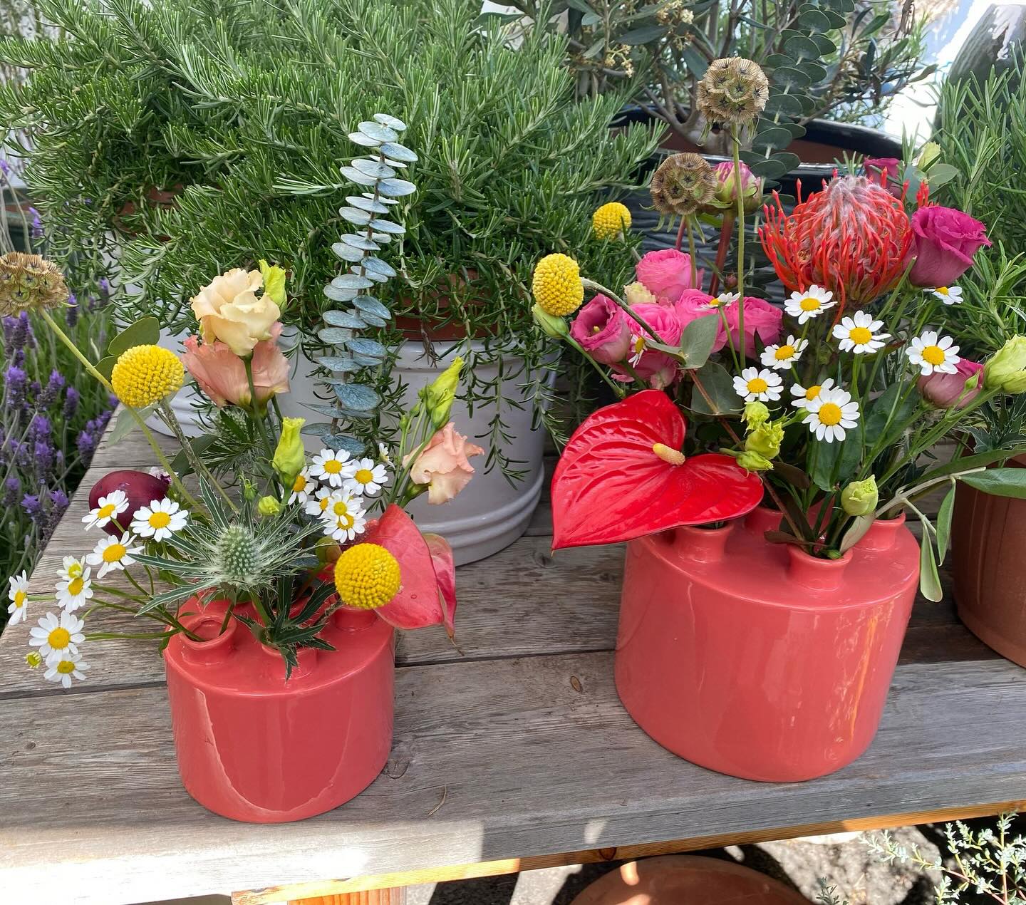𝗡𝗘𝗨: 𝗩𝗮𝘀𝗲𝗻 𝗺𝗶𝘁 𝗺𝗲𝗵𝗿𝗲𝗿𝗲𝗻 𝗢̈𝗳𝗳𝗻𝘂𝗻𝗴𝗲𝗻 Diese Vasen sind vielfältig und raffiniert dekorierbar und eine originelle Ergänzung oder Alternative zu den bekannten Vasen. #vase #blumenvase #vasenvielfalt #blumenstrauß #summervibes