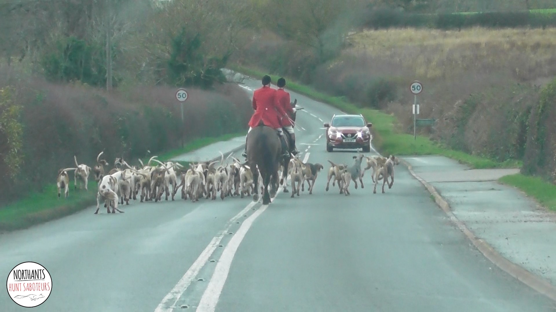 Northants Hunt Saboteurs - We have just finished sabbing the Cottesmore ...