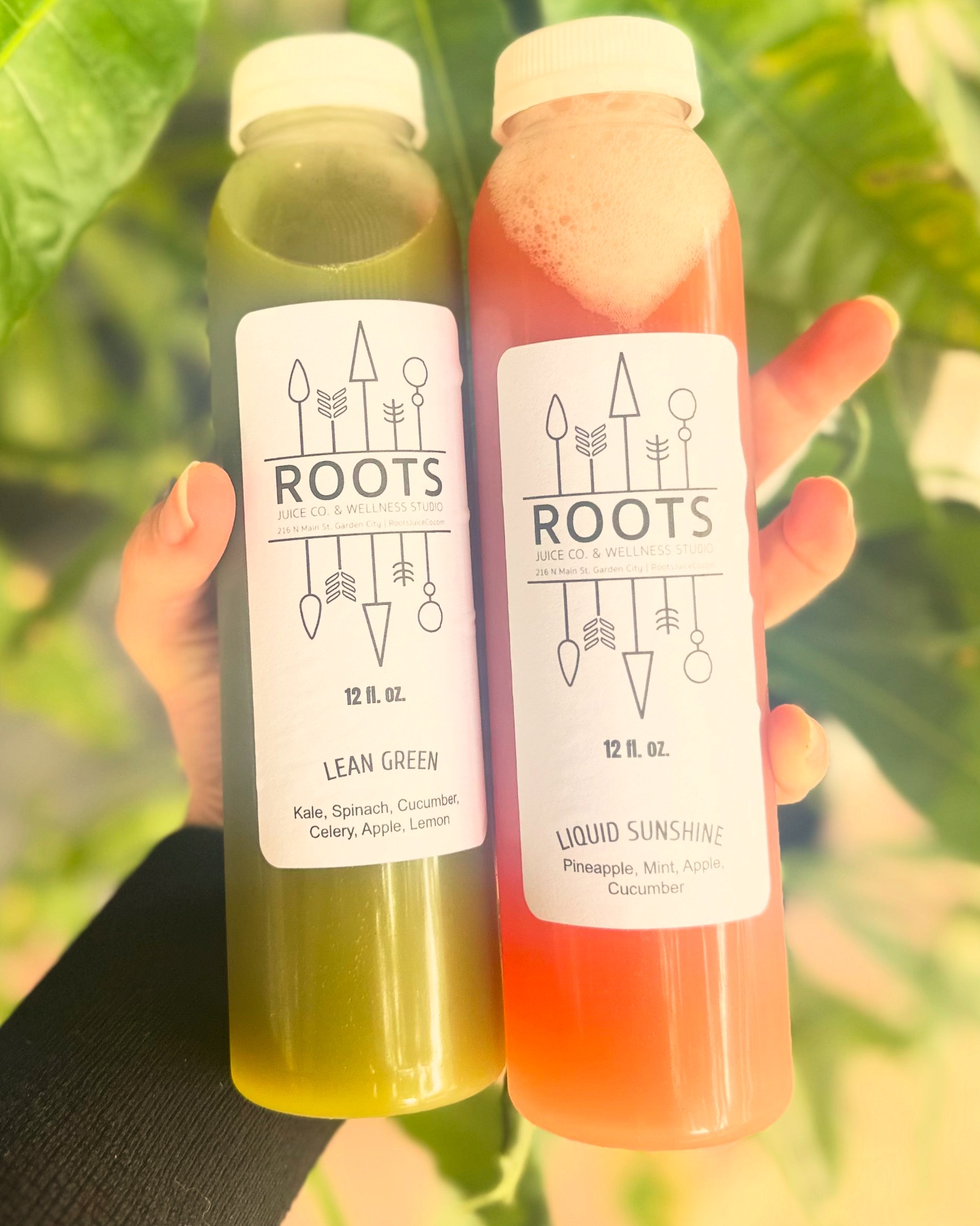 Roots Juice Co. & Wellness Studio | Garden City KS