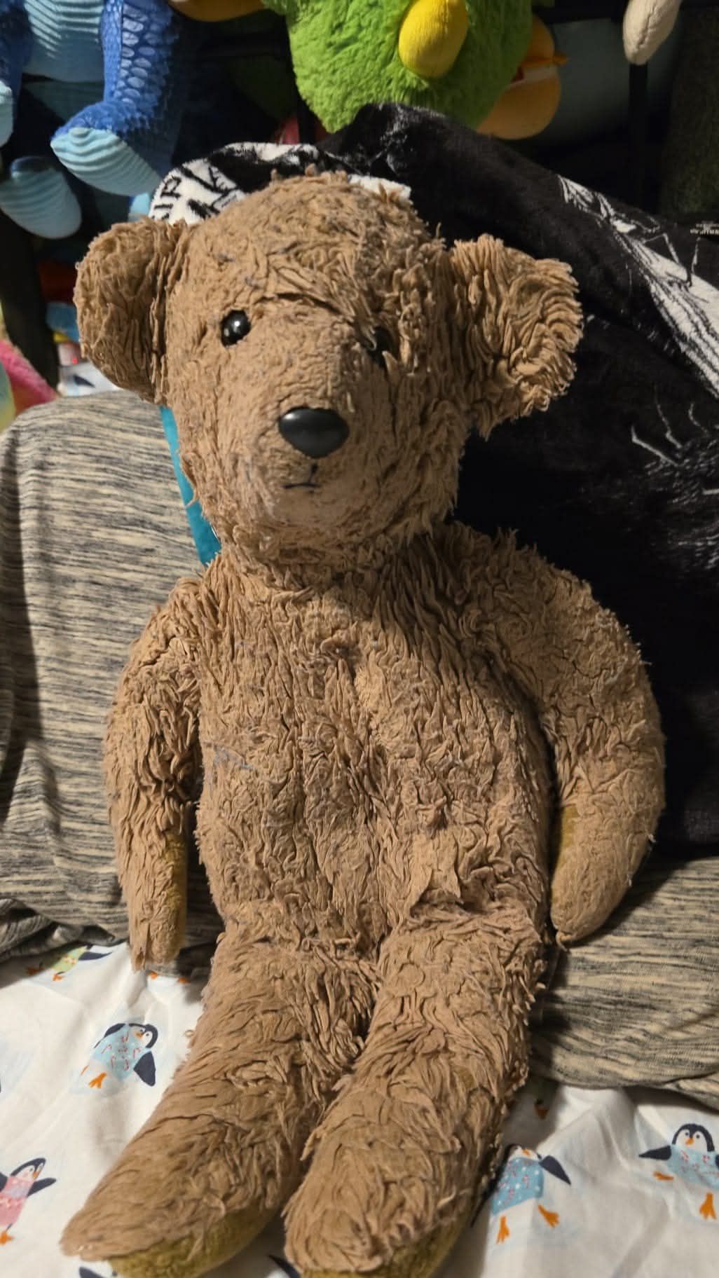 Pedigree teddy bear, dating from the 1950s to 1960s. More the