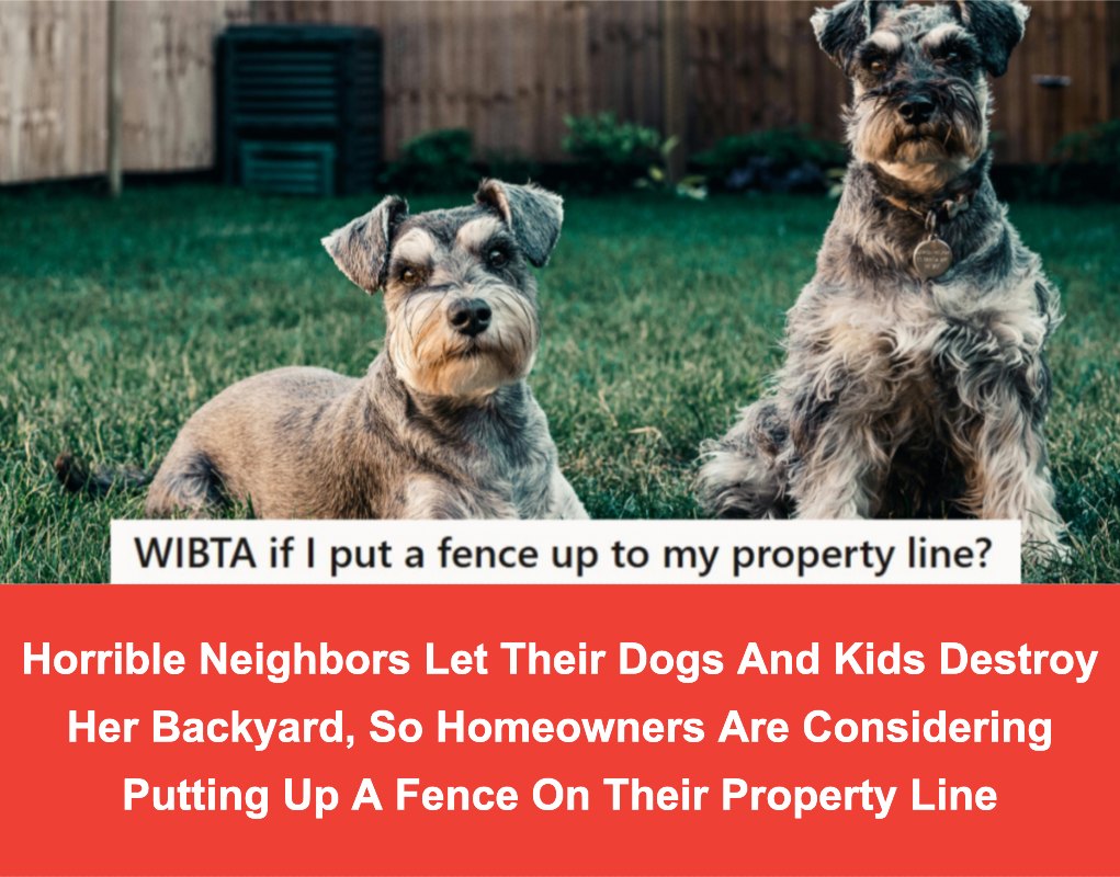 Did - FULL STORY: https://twistedsifter.com/2024/12/horrible-neighbors ...