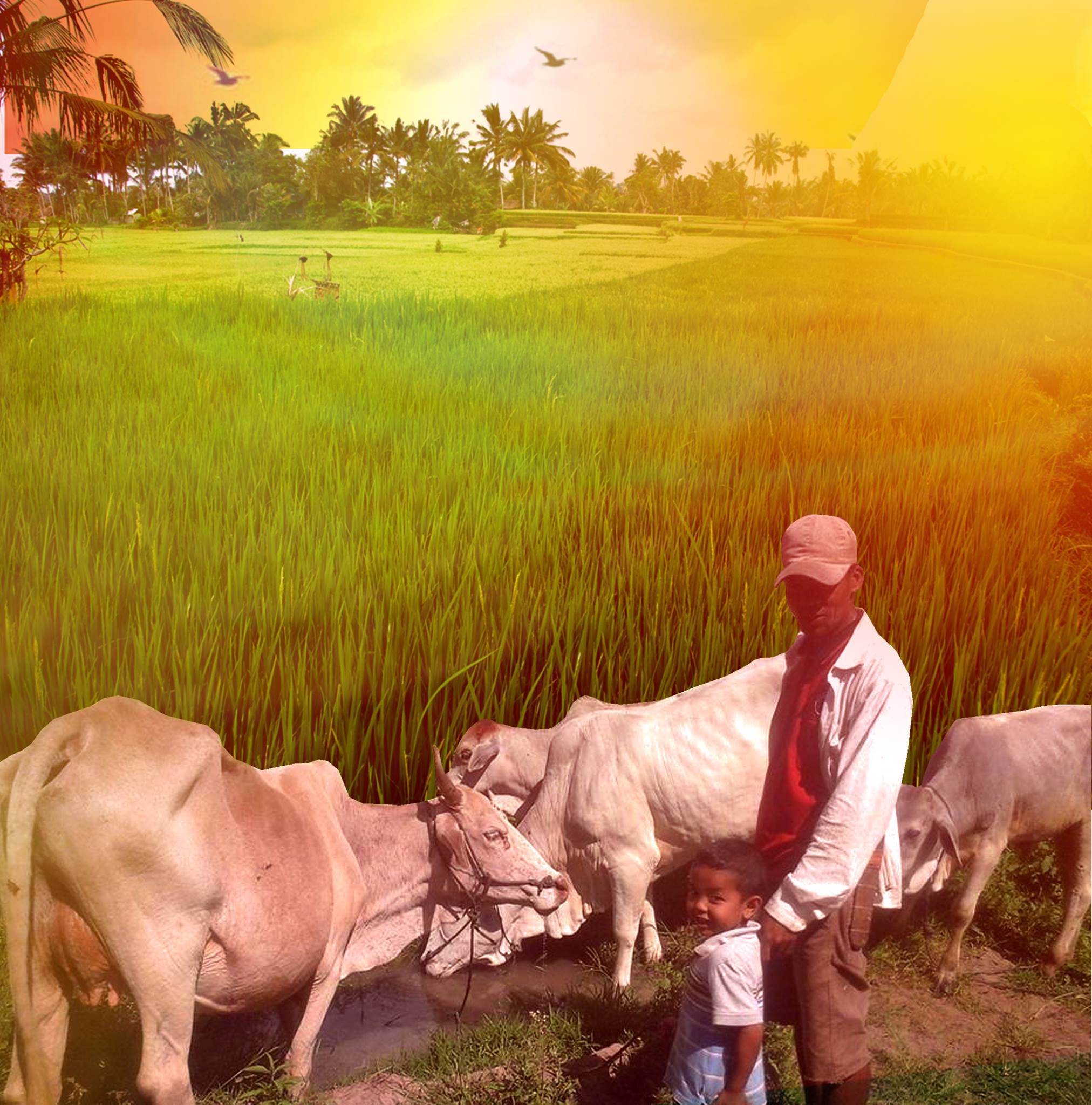 Kuta Raja Community ( K.R.C ) | Facebook