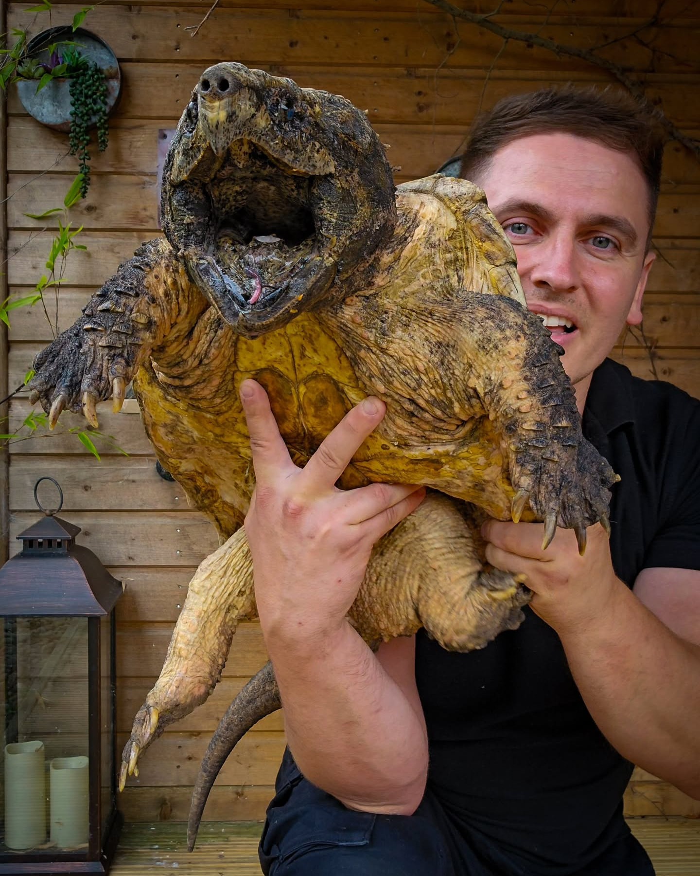 The Reptile - Jurassic Ark Encounters NI shows off quite an impressive ...
