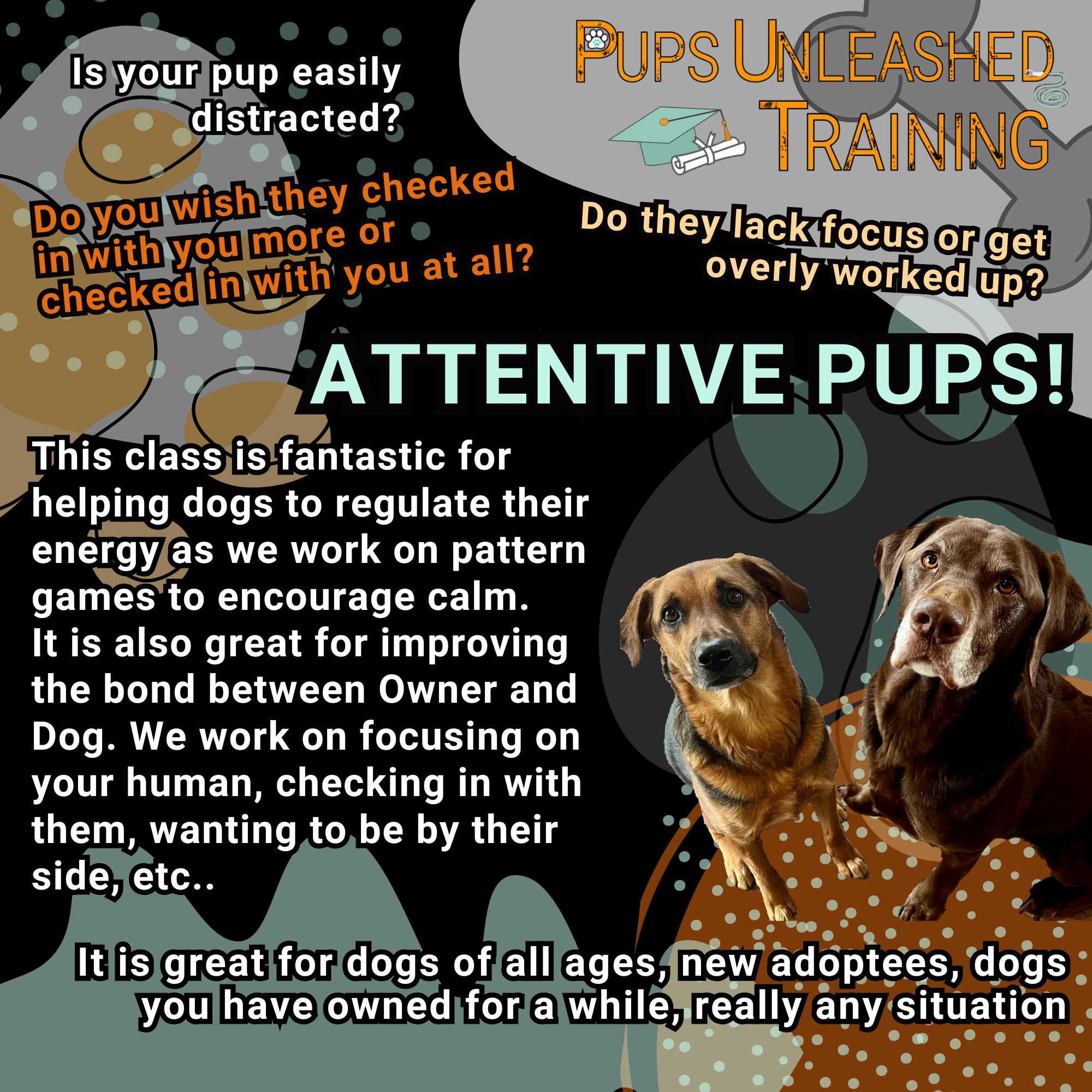Pups Unleashed - 🐾 Ready to take your training to the... | Facebook