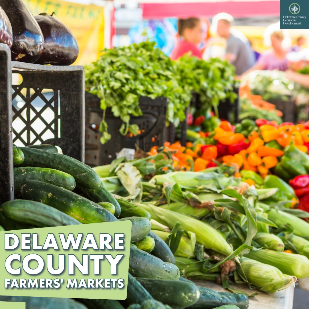 Delaware County Economic Development, New York | Delhi NY