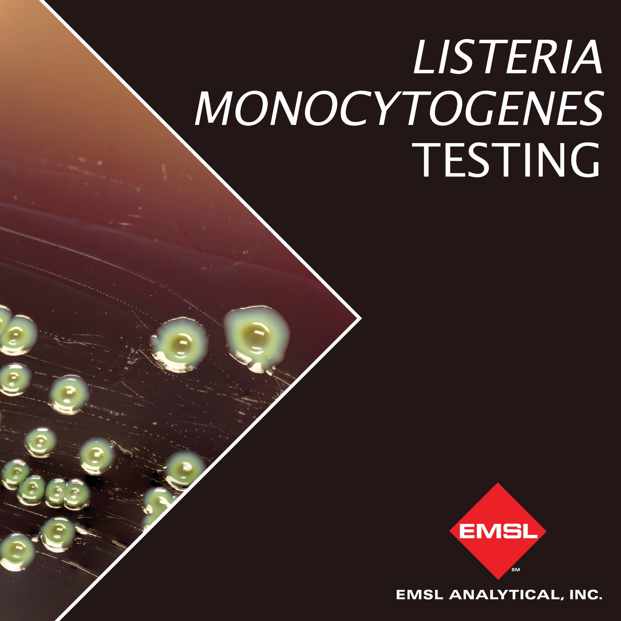 EMSL - Listeria is a harmful bacterium that leads to Listeriosis, which ...