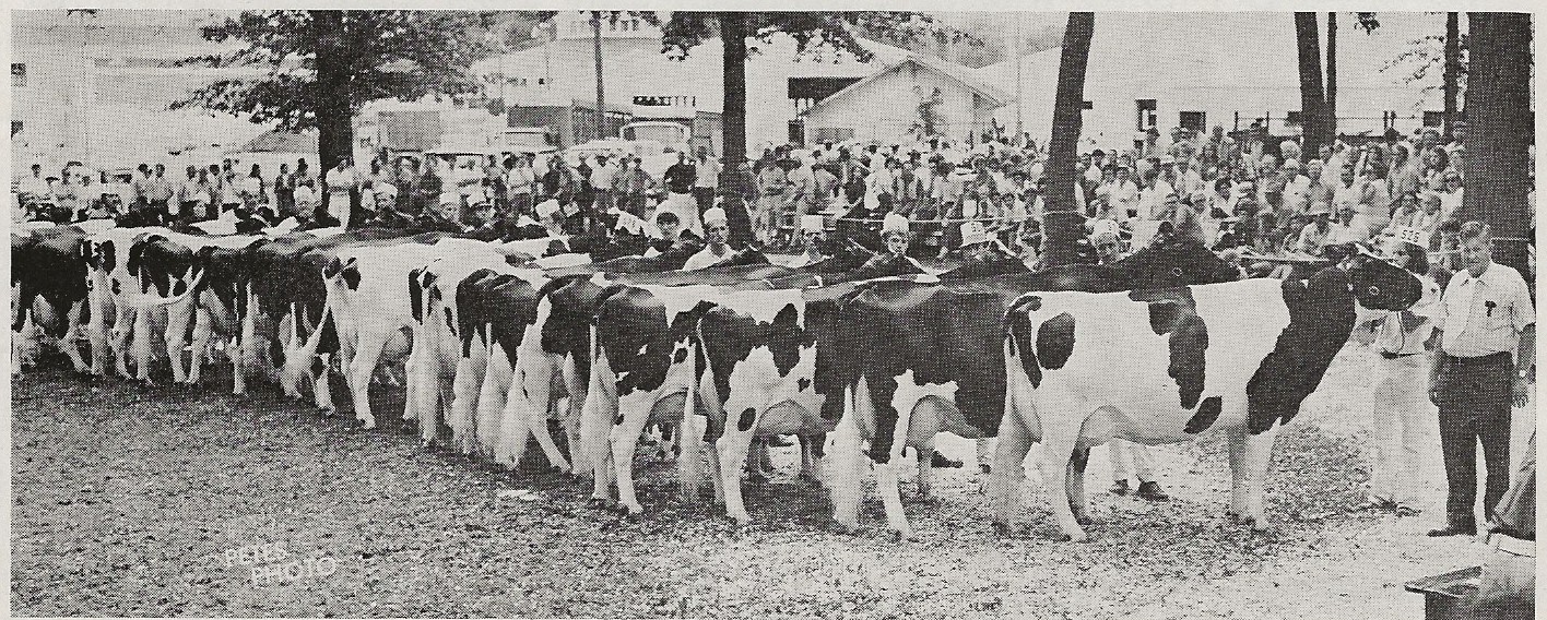 Legendairy - WWS Boots Apollo EX-91 b. 12/25/1976 was sired by Hilltop ...