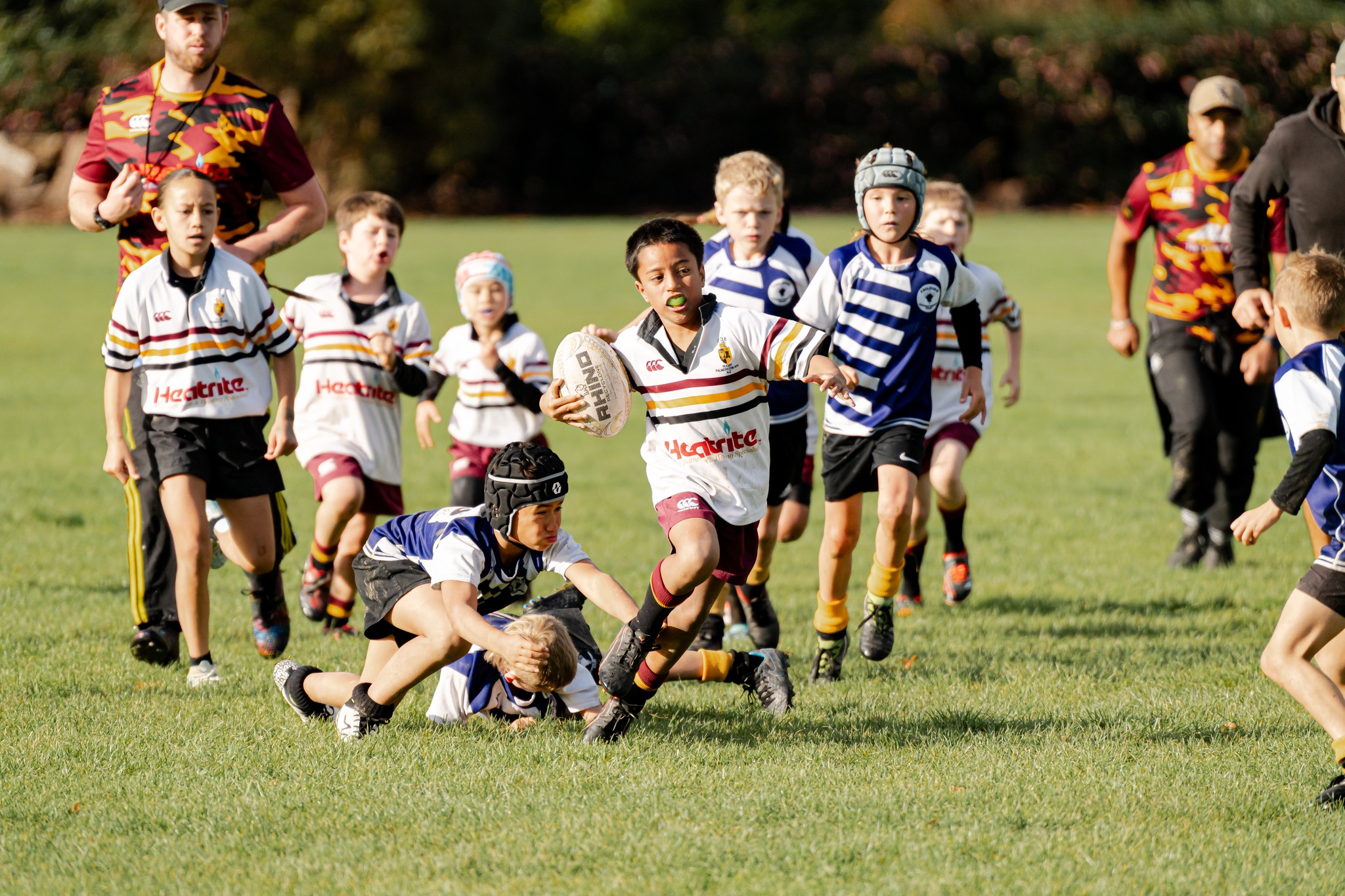 Manawatū Rugby -... - Manawatū Rugby - Turbos and Cyclones