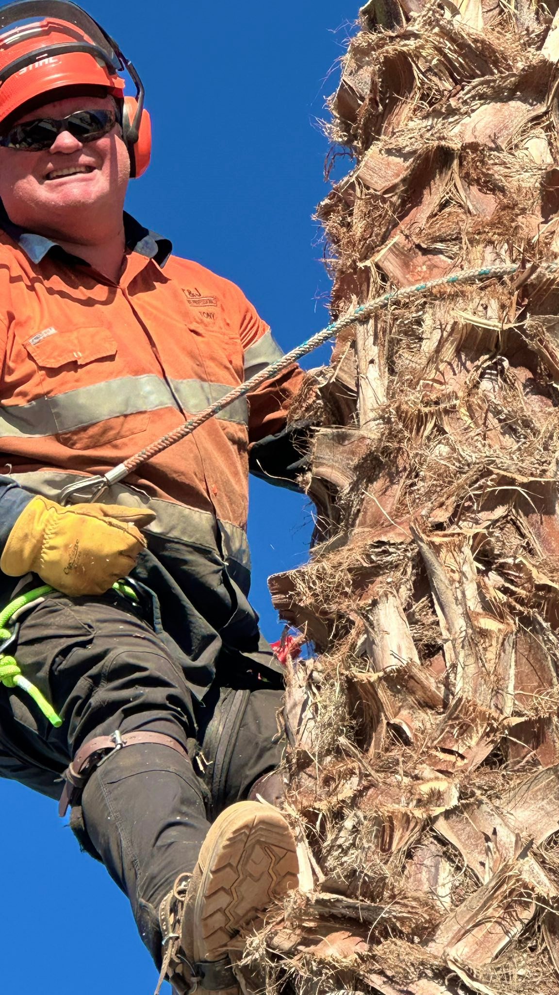 T&J Tree Professionals Pty Ltd | Balaklava SA