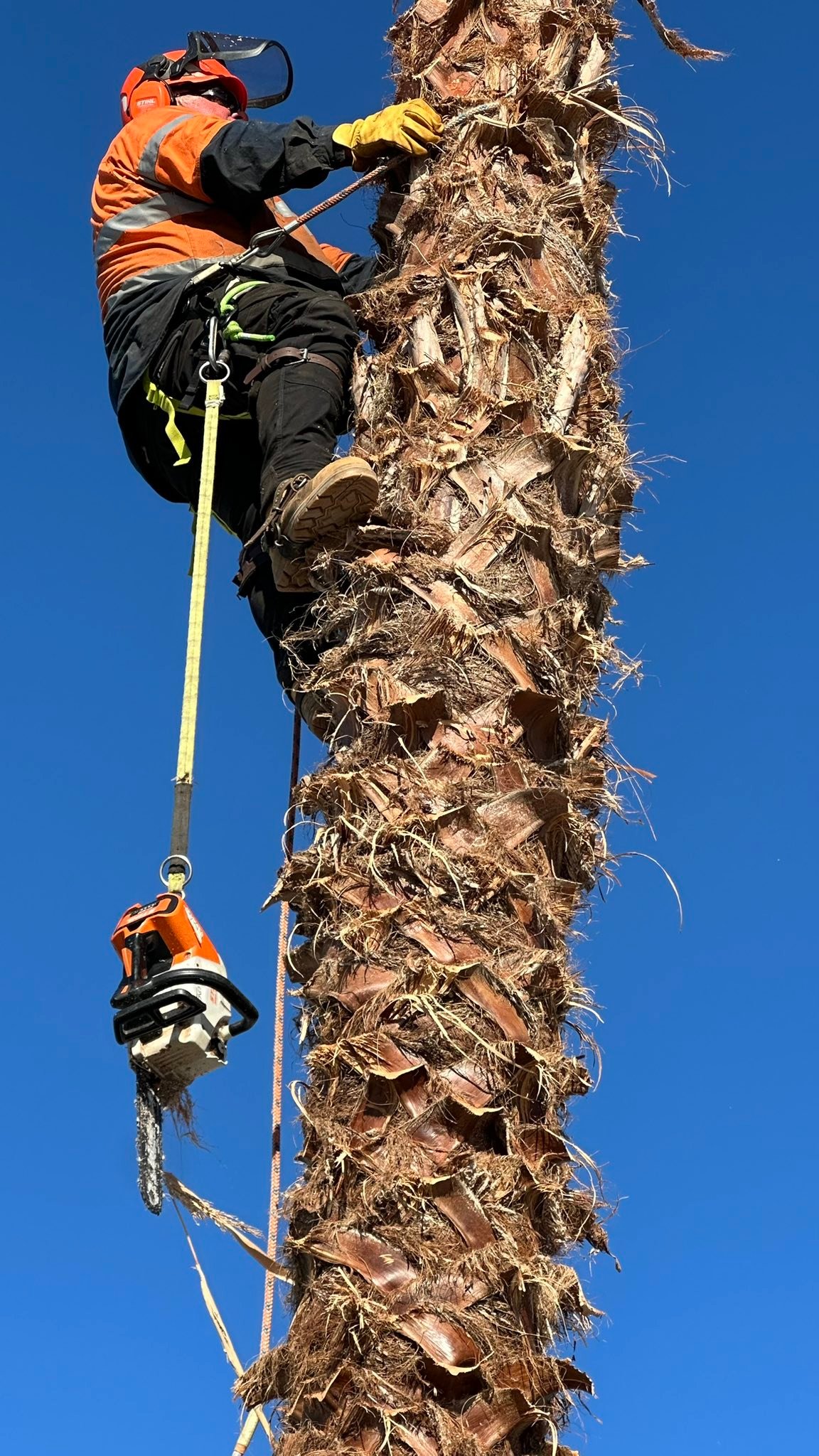 T&J Tree Professionals Pty Ltd | Balaklava SA