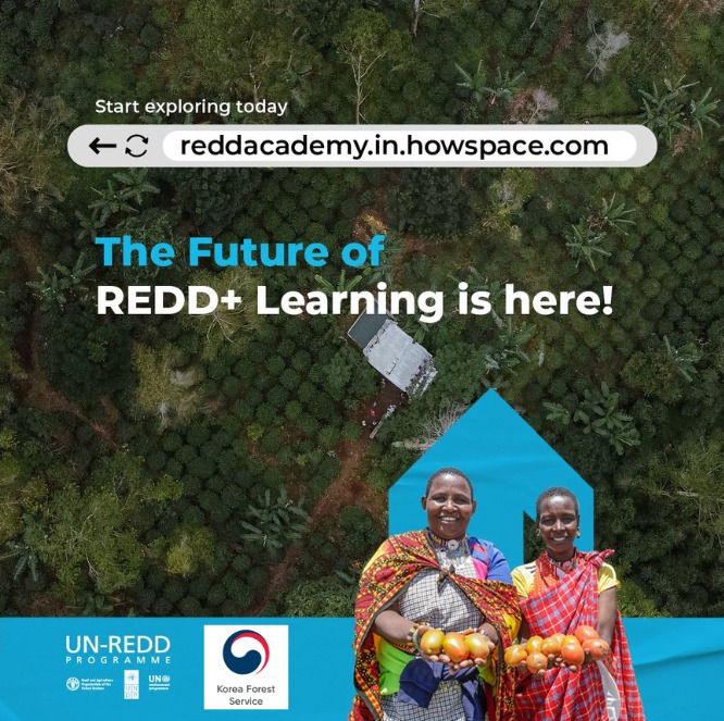 📢 Launching soon! 📑... - UN-REDD Programme (FAO/UNDP/UNEP) | Facebook
