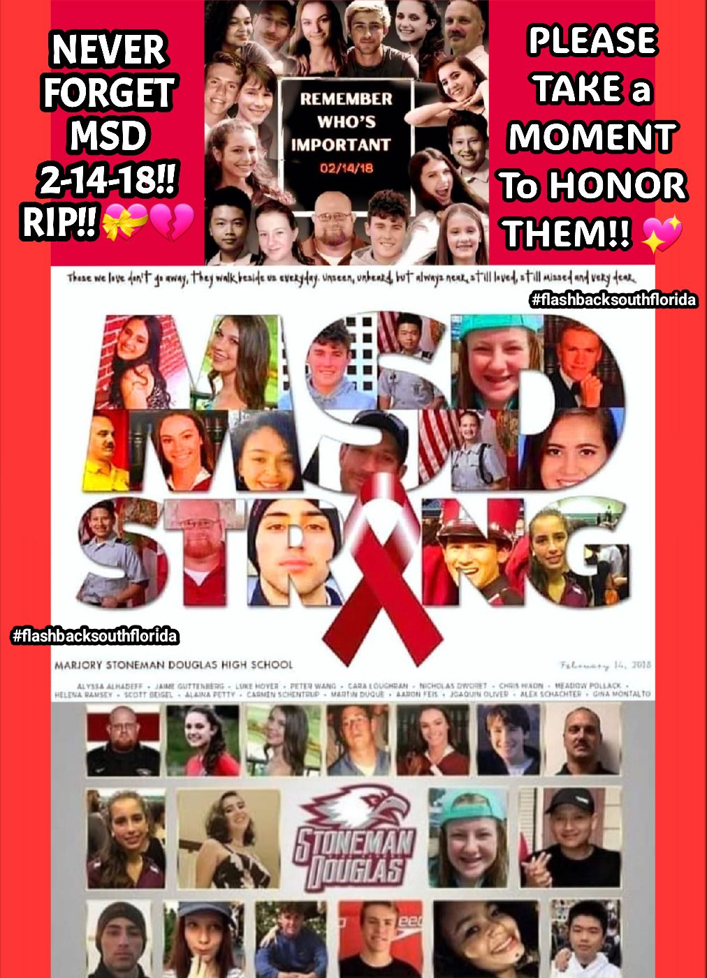 Flashback - February 14, 2018. MSD Marjory Stoneman Douglas High School ...