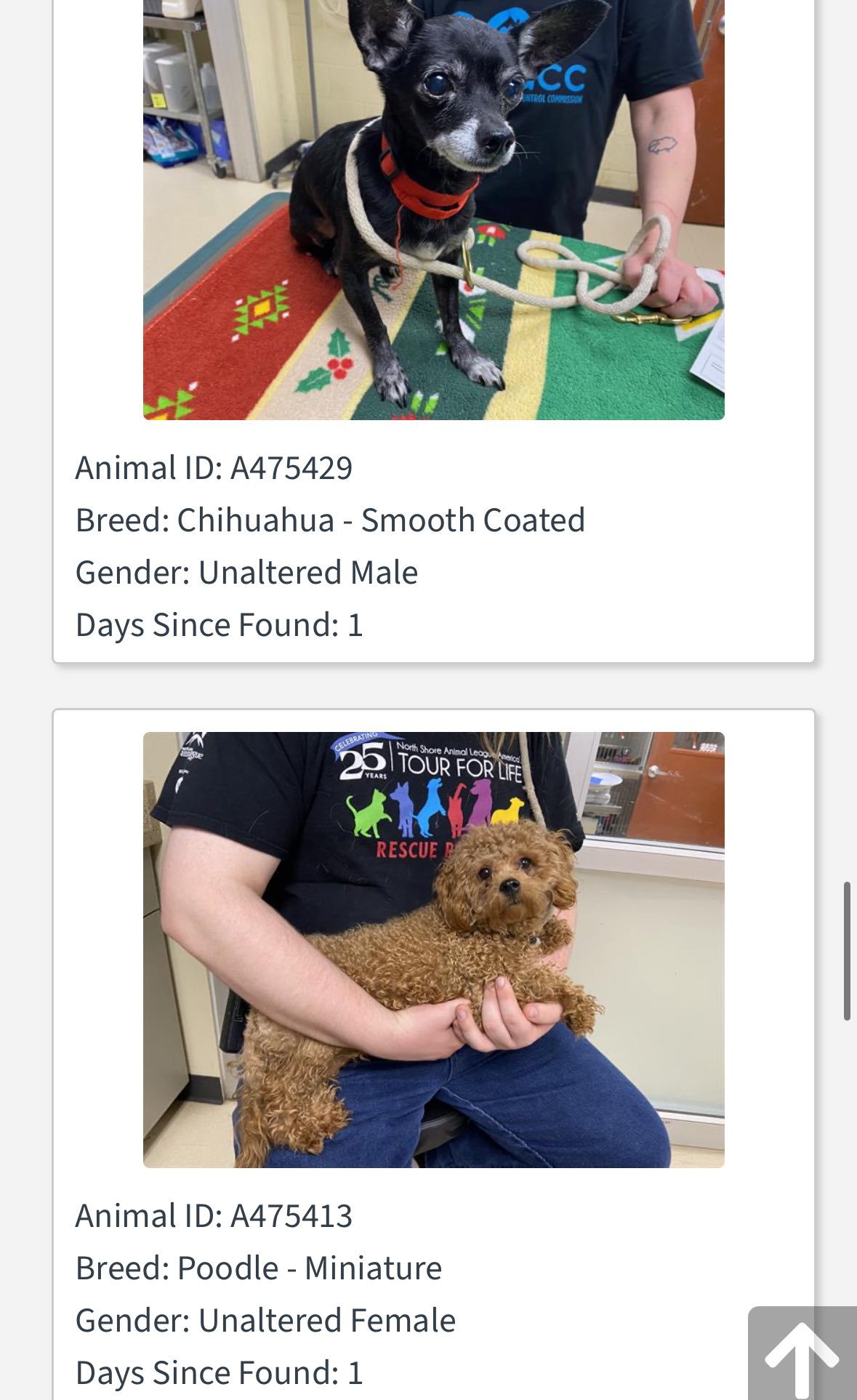 Milwaukee Area Domestic Animal Control Commission (MADACC) added a new ...