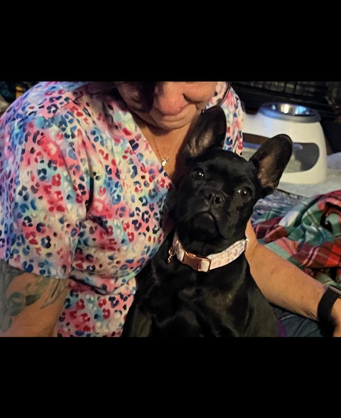 Zoe's House Rescue added a new photo. - Zoe's House Rescue