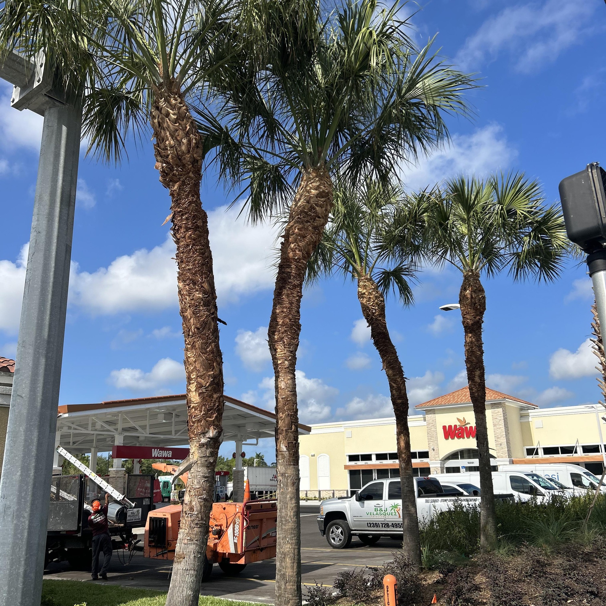 B&J Velasquez Tree Service... - B&J Velasquez Tree Service