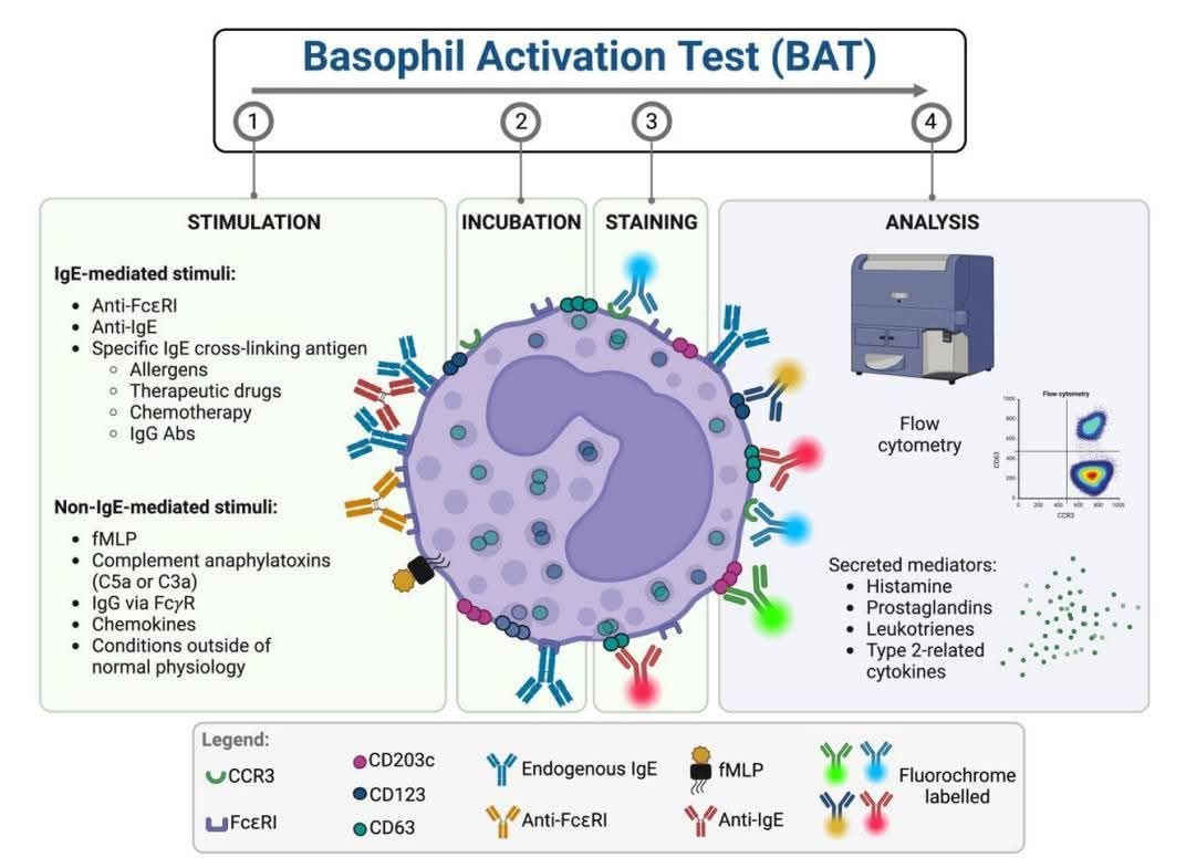 〔嗜鹼性球活化試驗 •BAT〕... - 中華醫事科技大學醫學檢驗生物技術系 | Facebook