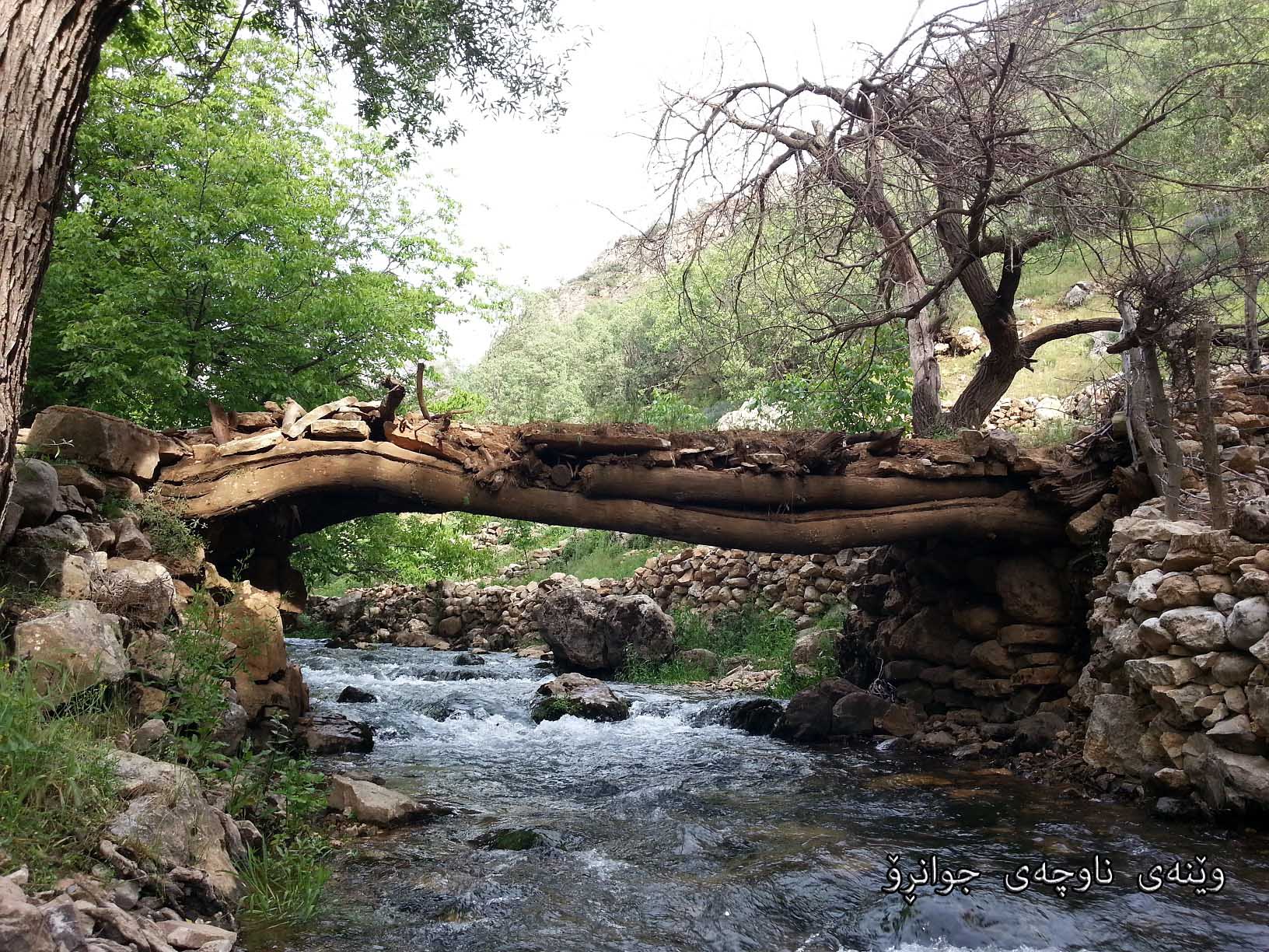 Fatholah - گۆش دام وه شنۆی شه مالی شاوه هۆش دام وه نیگای ڕه ندانی پاوه ...