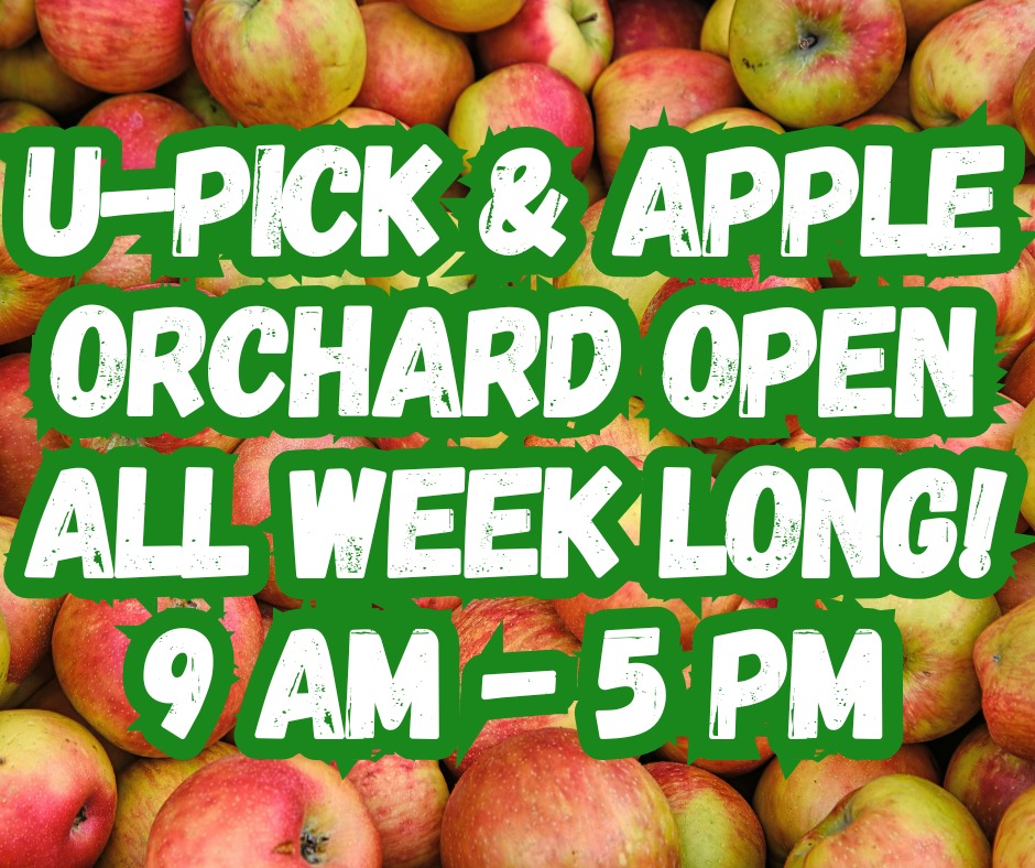 Stade's - Yes, you read that correctly... we will continue to be open ...