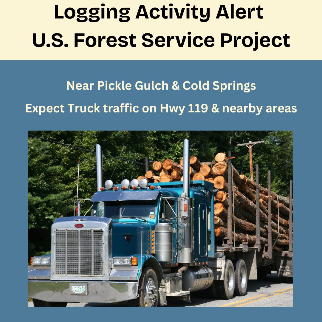 🌲 Misery Timber Sale Operations... - Gilpin County Colorado | Facebook