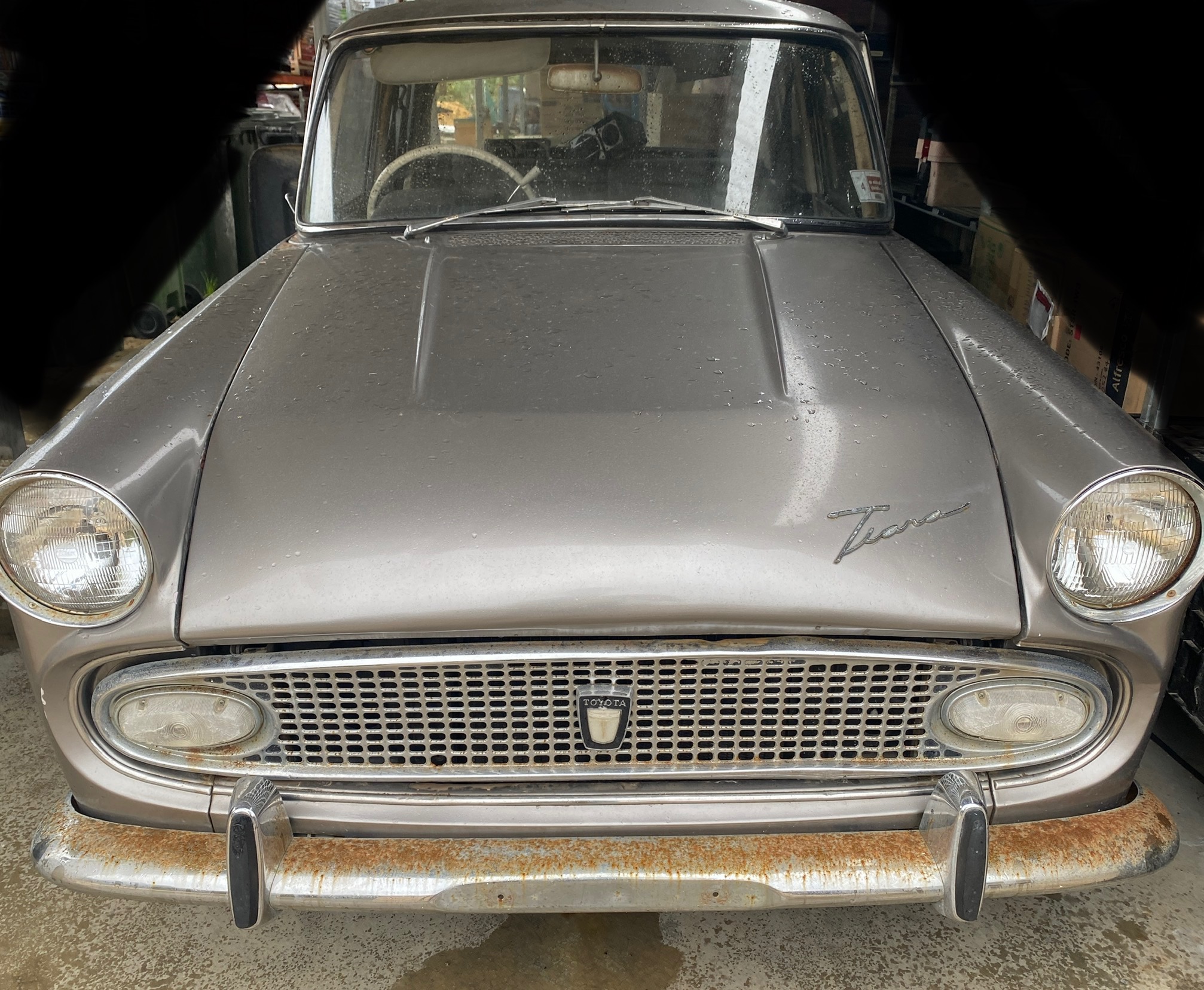 1965 Toyota Tiara 🤓 #TreasureCoastToyota #Toyota #LetsGoPlaces