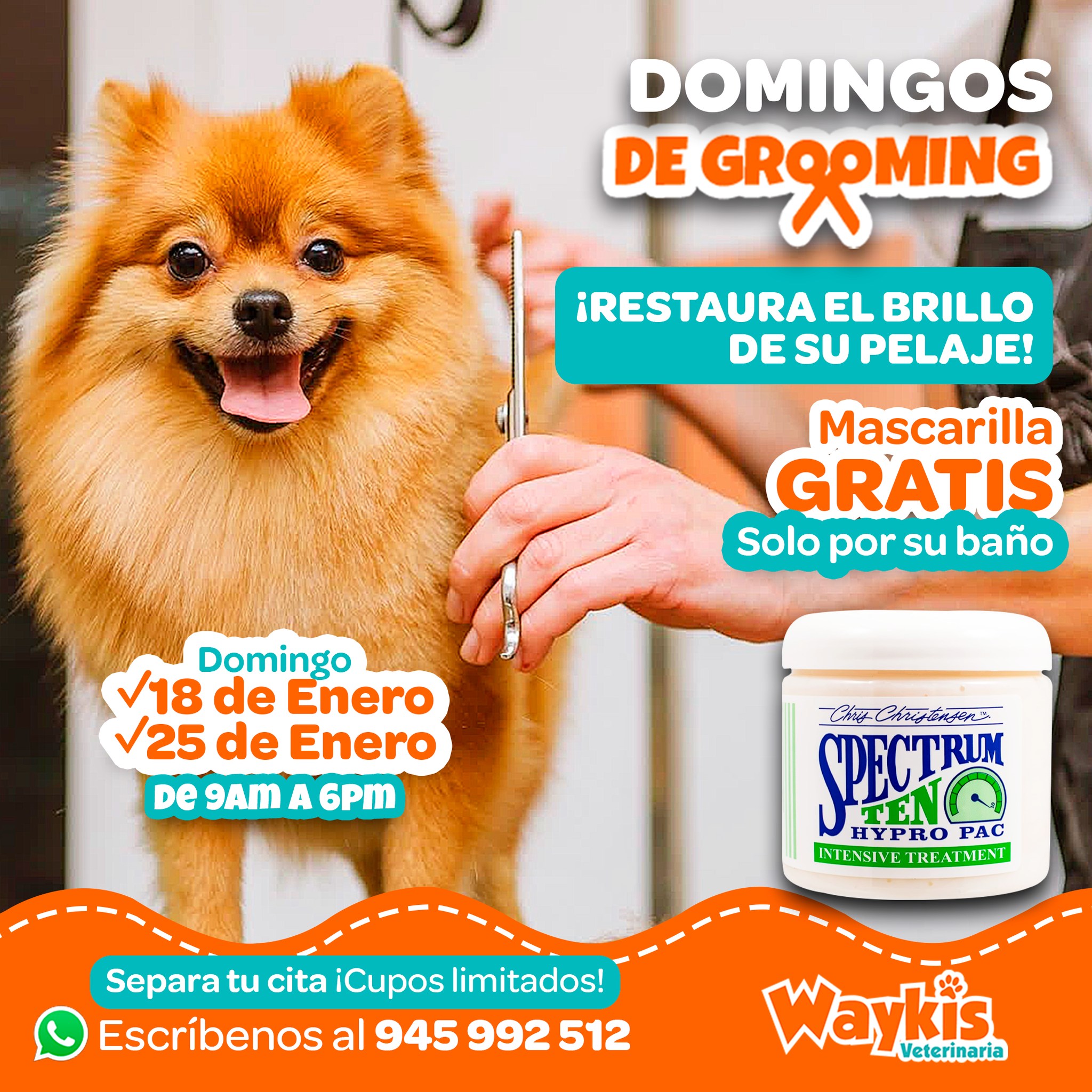 Waykis - 🐶 ¡Domingos de Grooming en Waykis! Restaura el brillo del ...