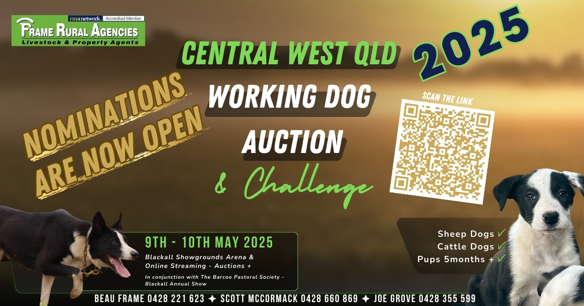 Frame - 🚩🐾CENTRAL WEST QLD WORKING DOG AUCTION NOMINATIONS ARE NOW OPEN ...