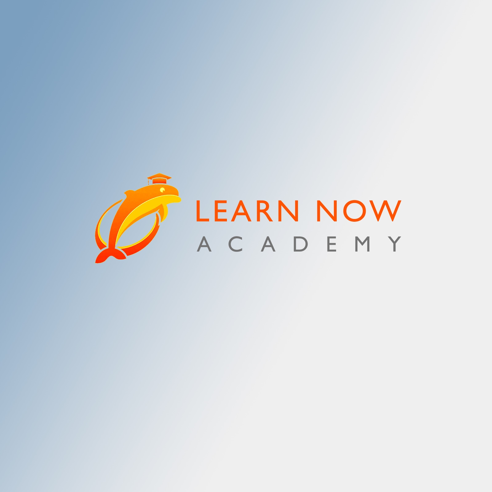 Learn Now Academy | Noida