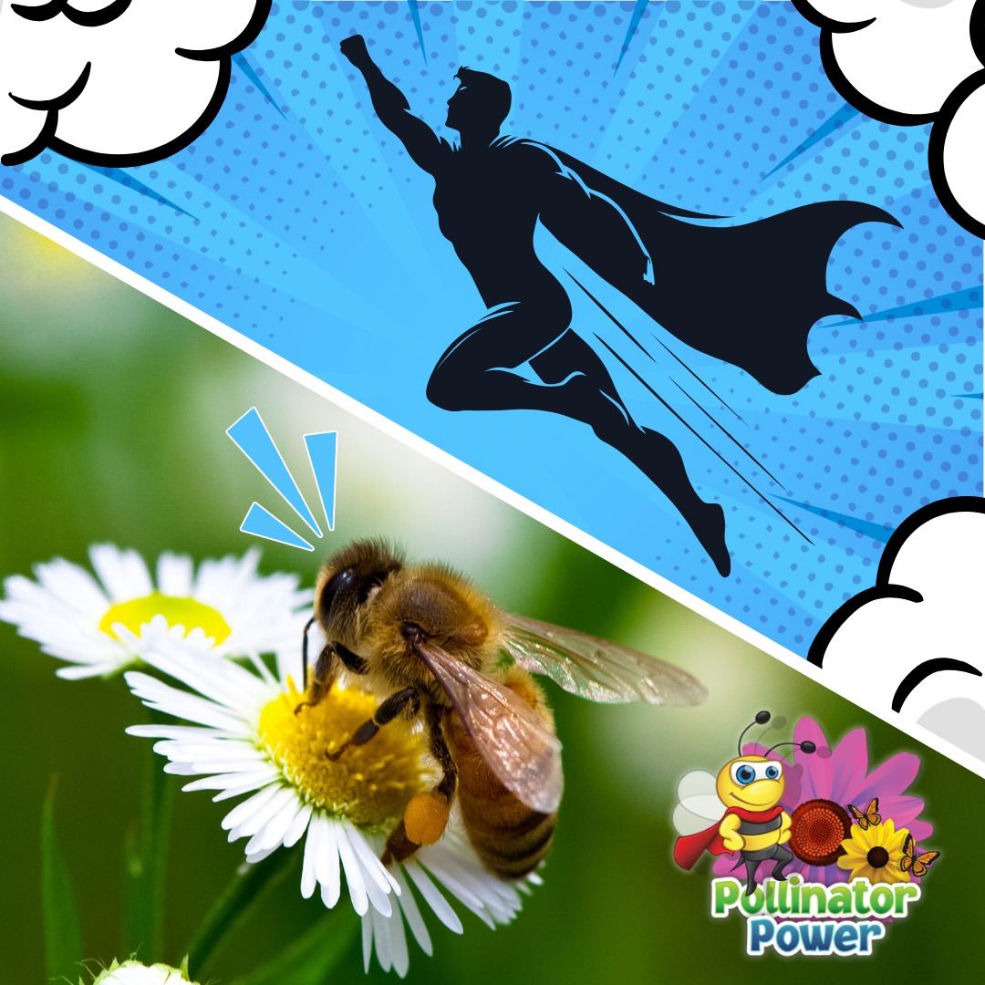 Earth - Who’s a better superhero? 🦸🐝 The first guy may save us from ...