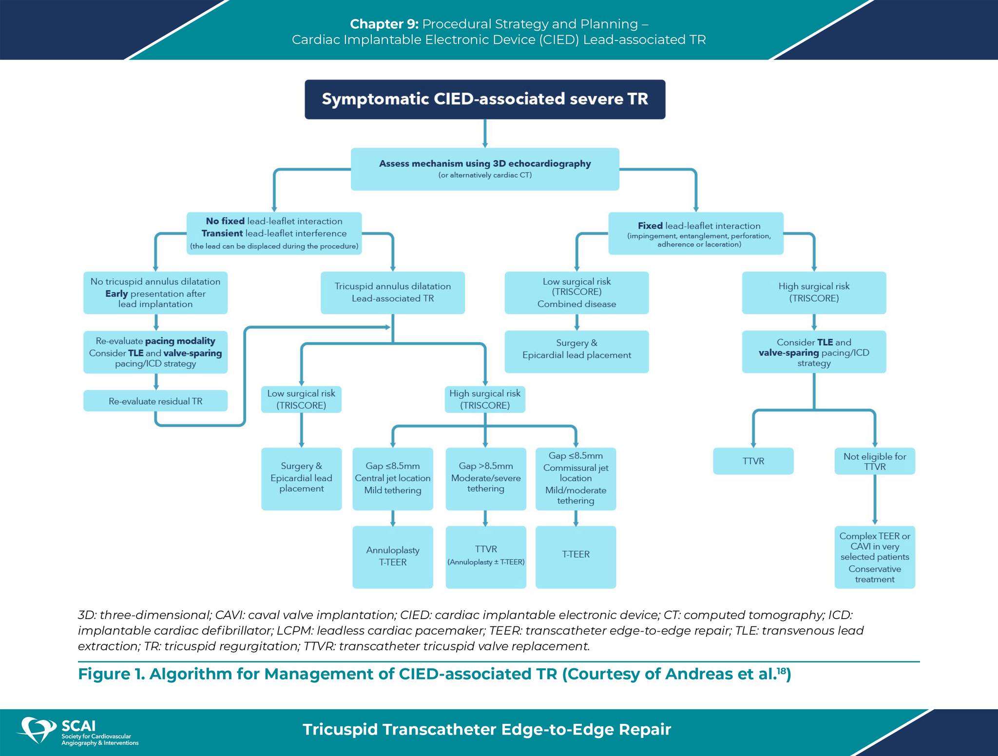 SCAI - The Society for Cardiovascular Angiography and Interventions ...